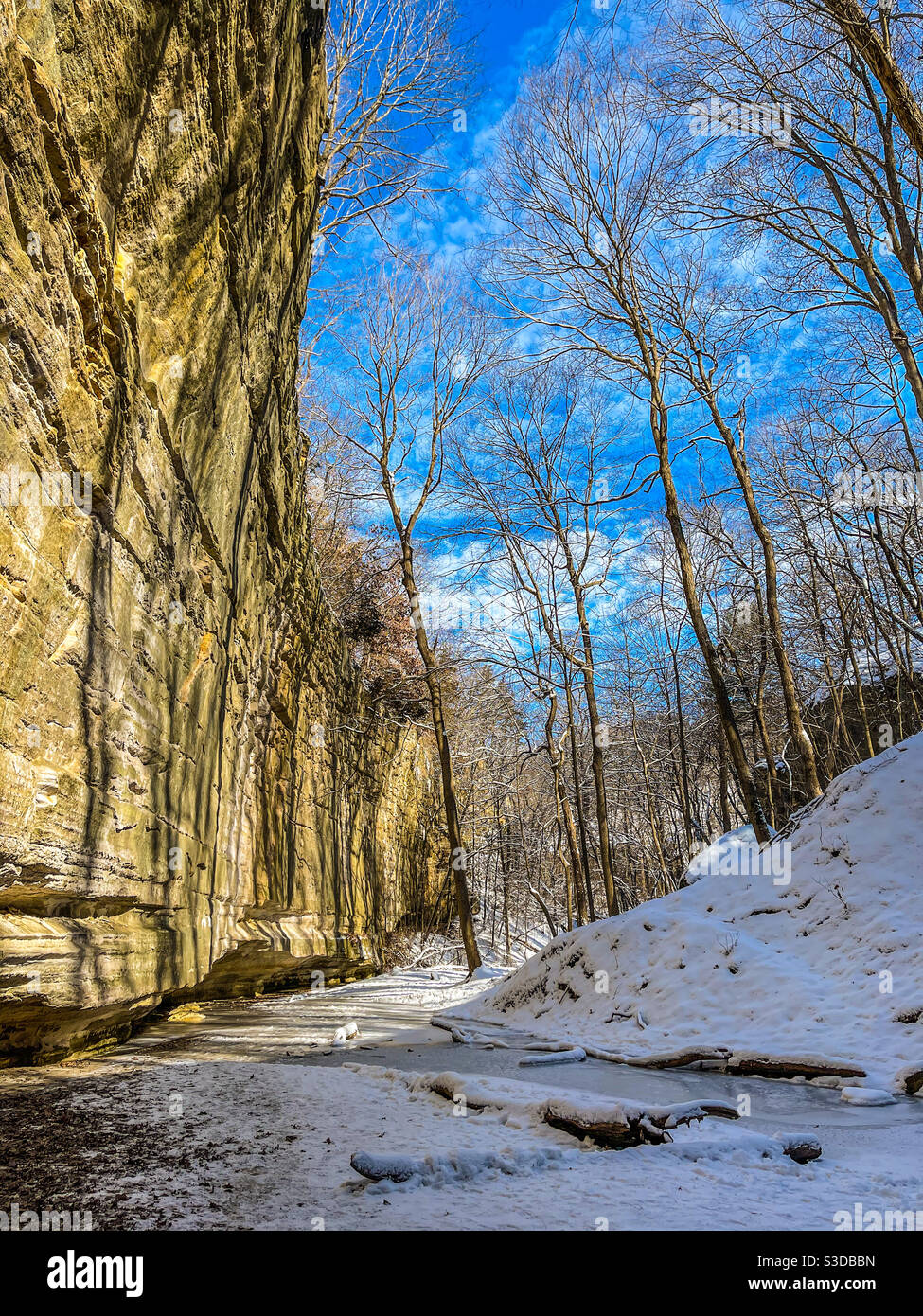 Canyon d'Ottawa en hiver. Parc national de Starved Rock, Illinois. Banque D'Images