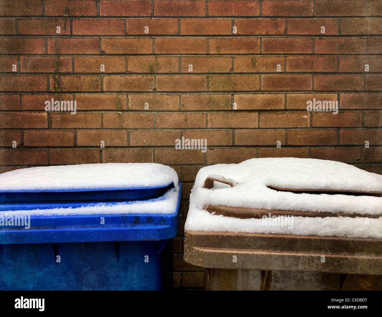 Les poubelles intérieures sont recouvertes de neige contre un mur de briques. Espace pour la copie Banque D'Images