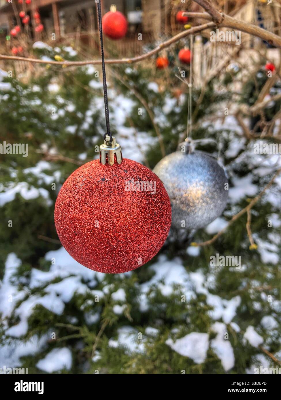 Décorations de Noël accrochées à un arbre extérieur. Banque D'Images
