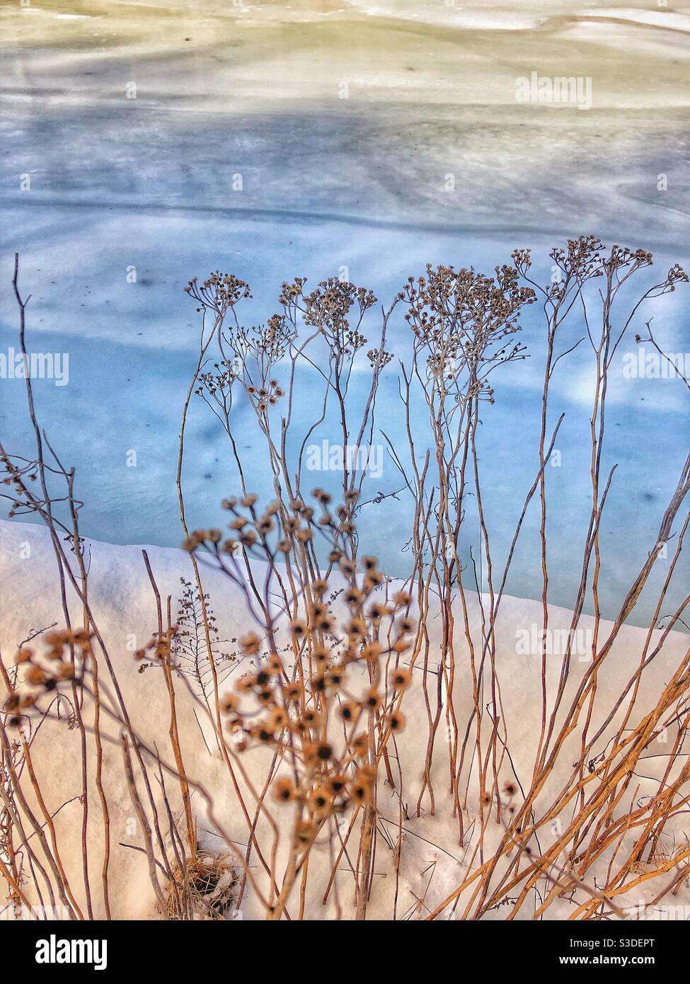 Couches de couleur douces sur une rivière couverte de glace en hiver. - Image de stock capturée avec un smartphone