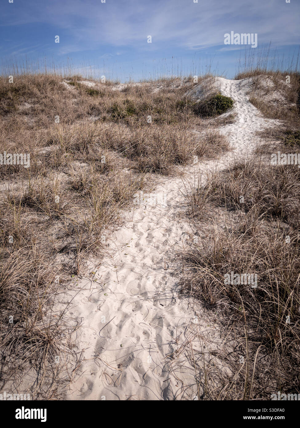 Bain de plage paisible le long des dunes sur l'île Amelia en Floride, Etats-Unis. Banque D'Images