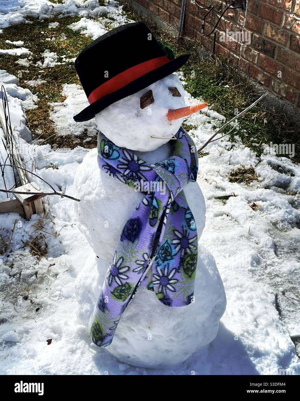 Bonhomme de neige avec nez de carotte et foulard Banque D'Images