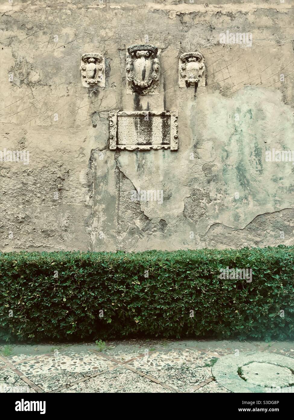 Haie verte devant les sculptures murales Banque D'Images