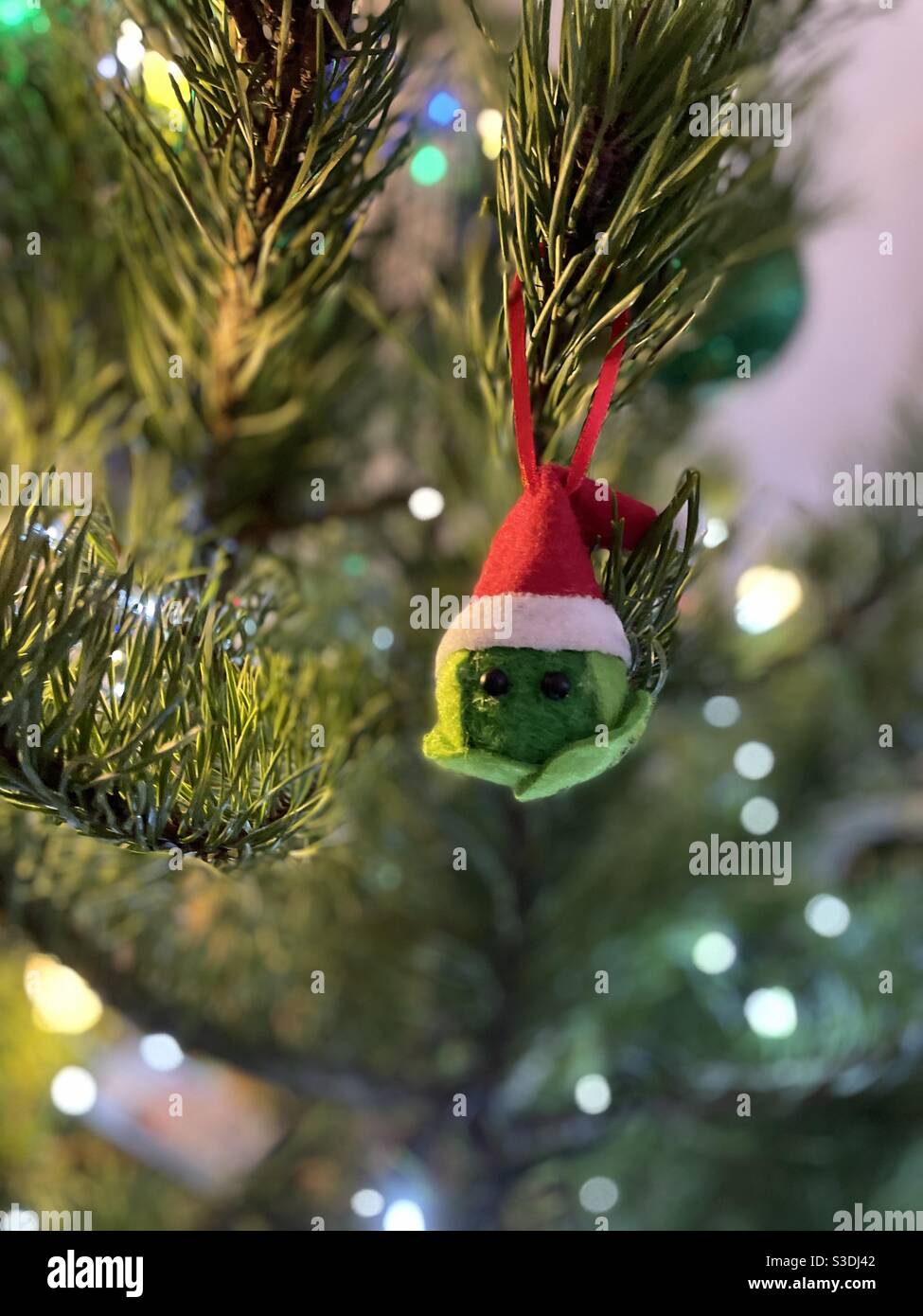 Sapin Noël Noël boule décoration naturelle Banque D'Images