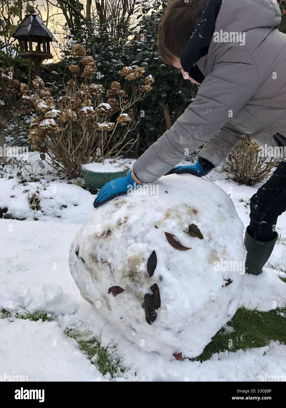 Jeune garçon roulant une grosse boule de neige dans un jardin, Royaume-Uni Banque D'Images