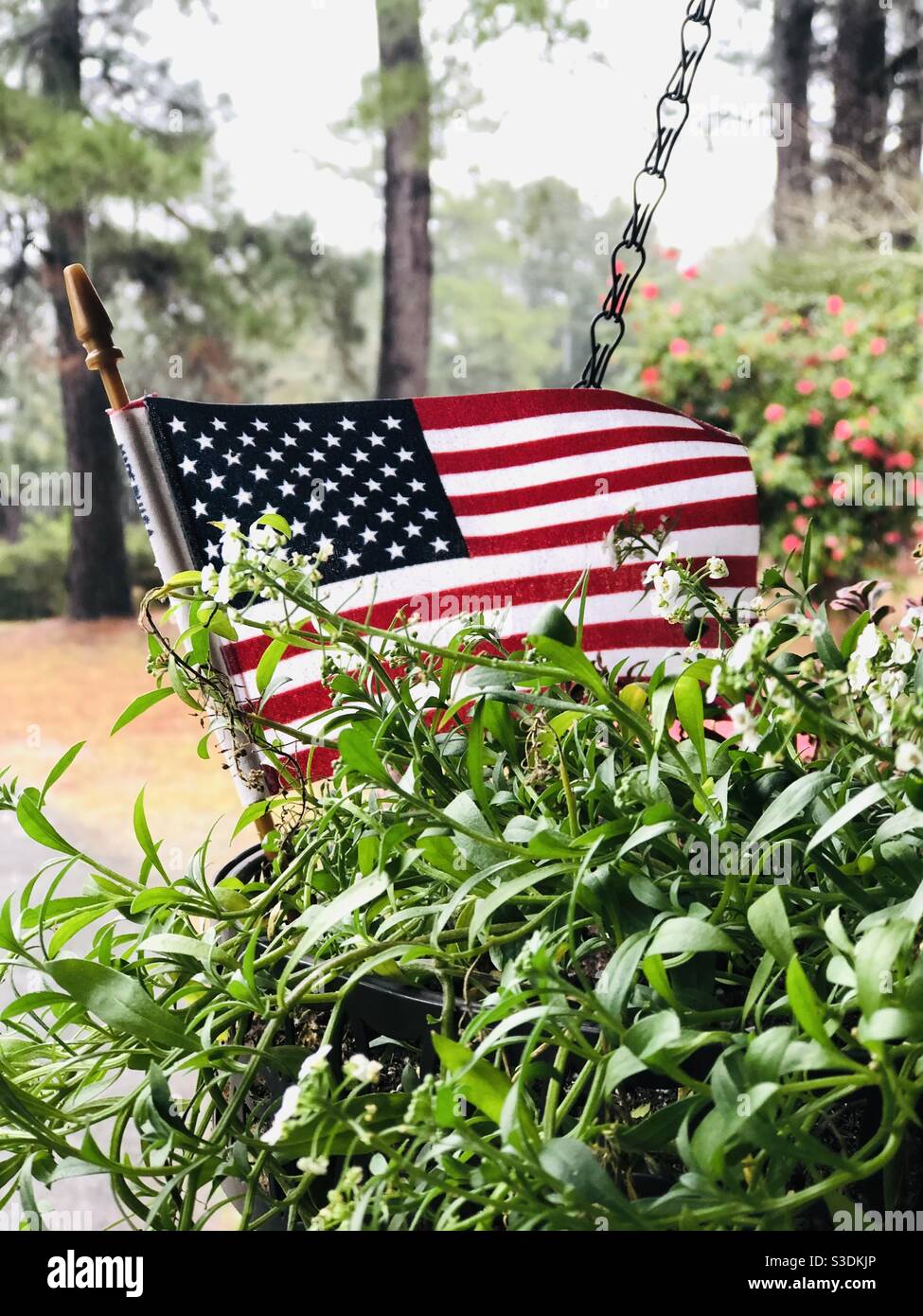 Drapeau américain des États-Unis dans panier suspendu de fleurs - Image de stock capturée avec un smartphone