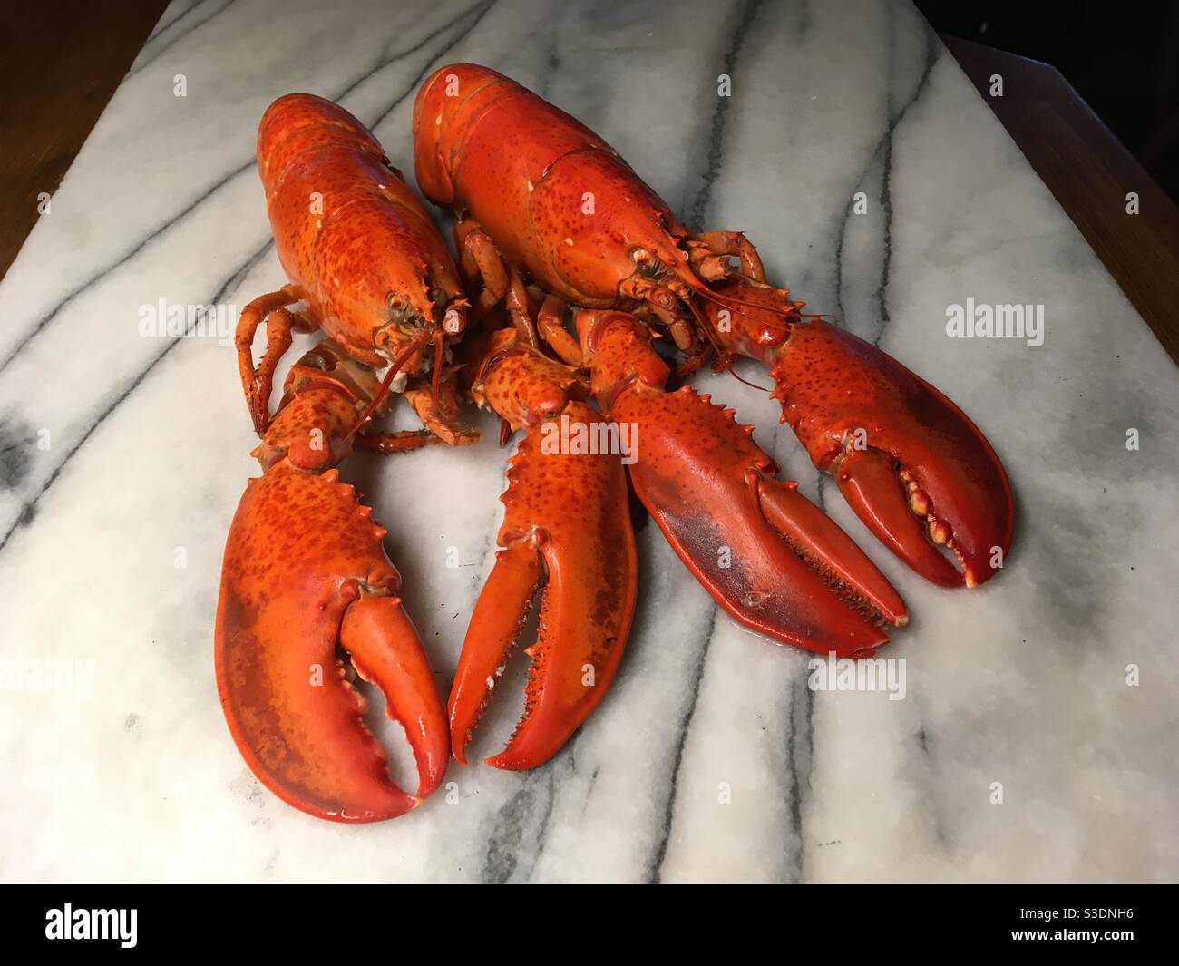 Homards frais sur une planche à découper en marbre. - Image de stock capturée avec un smartphone