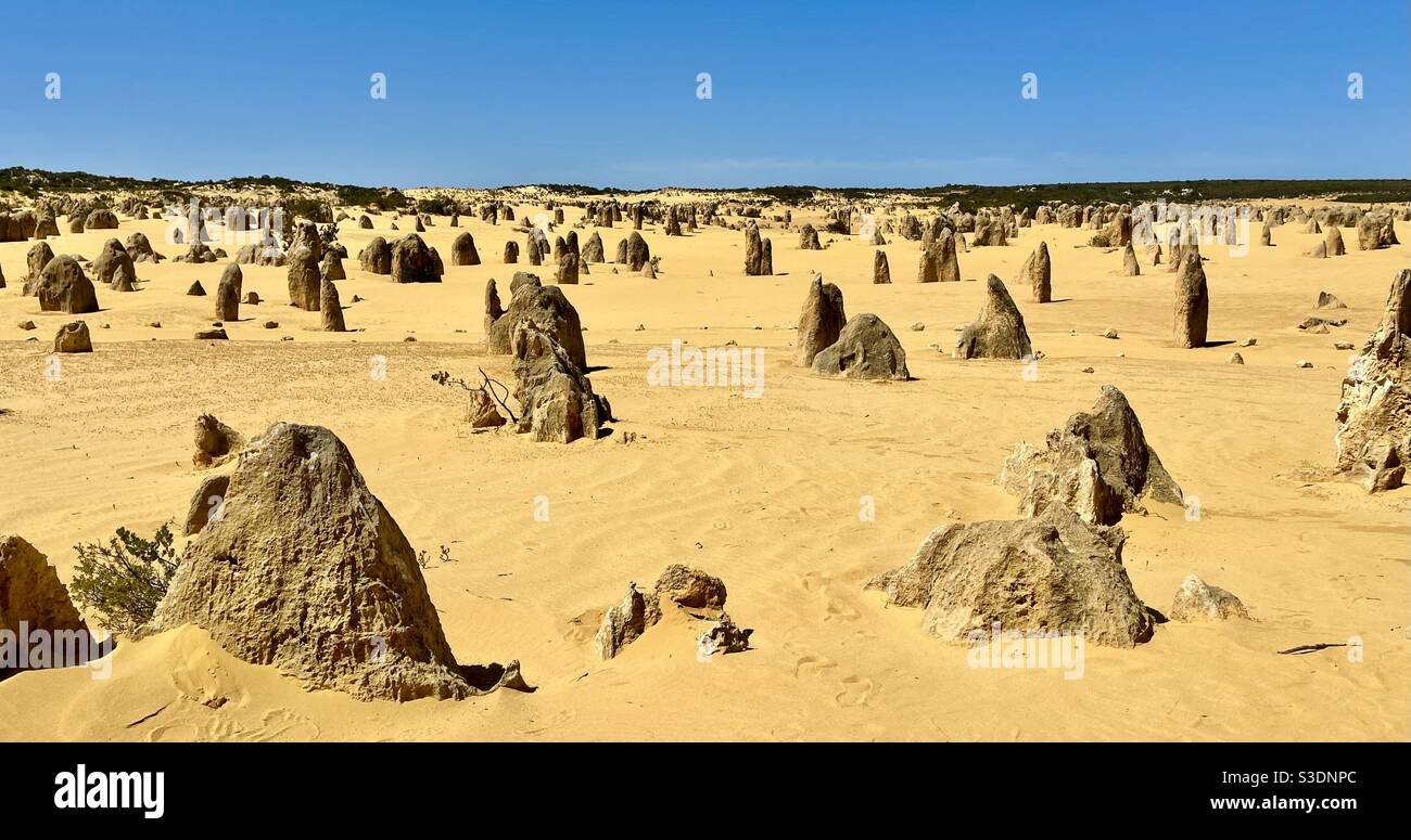 Les formations de calcaire des Pinnacles dans le parc national de Nambung en Australie occidentale Banque D'Images