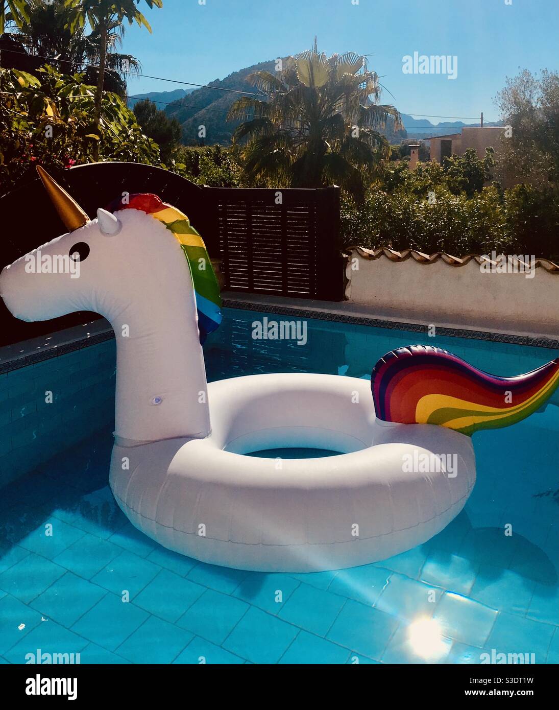 Licorne flottant dans une petite piscine avec un vignoble arrière-plan Banque D'Images