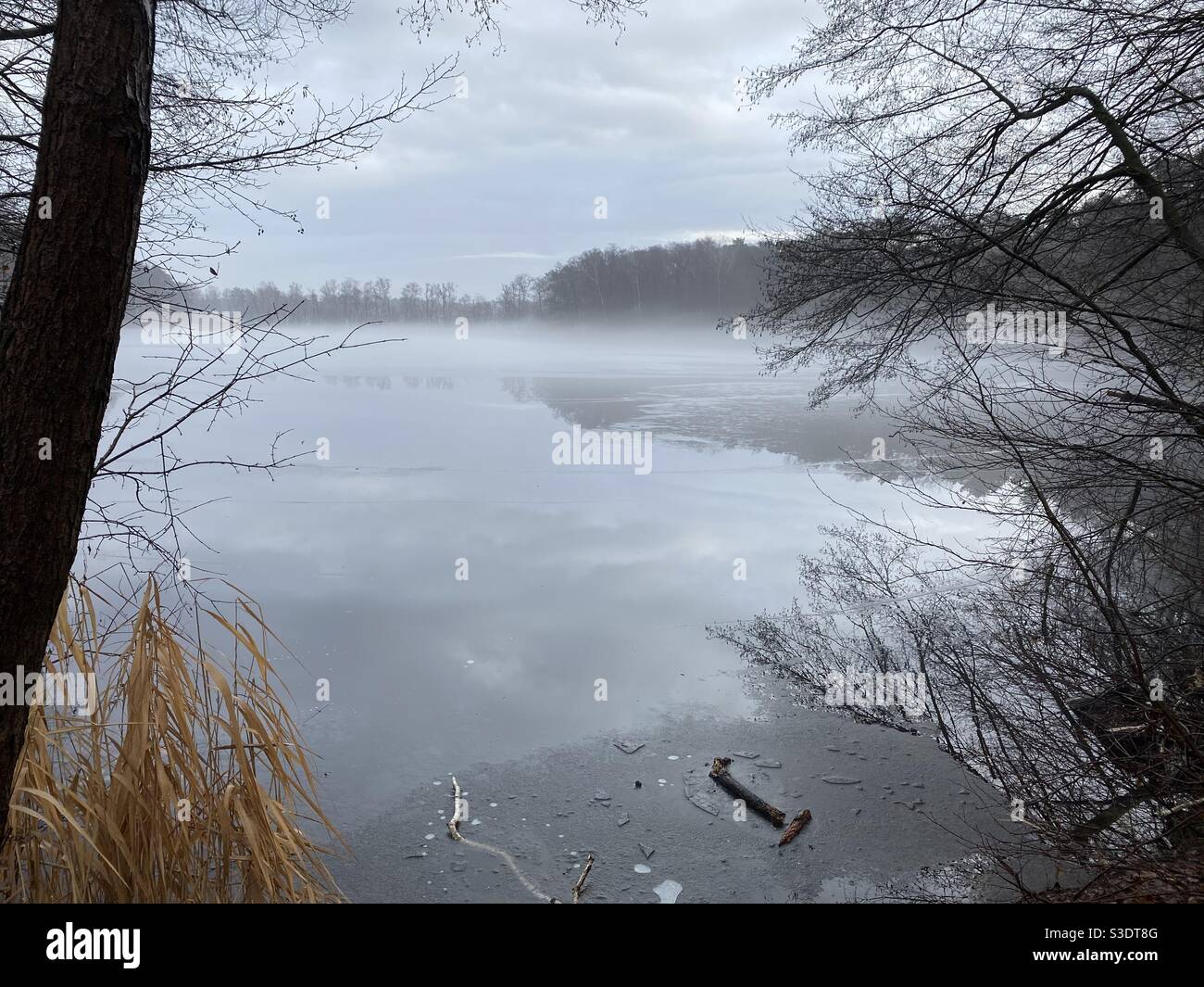 Lac d'hiver avec brouillard - beauté de la nature Banque D'Images