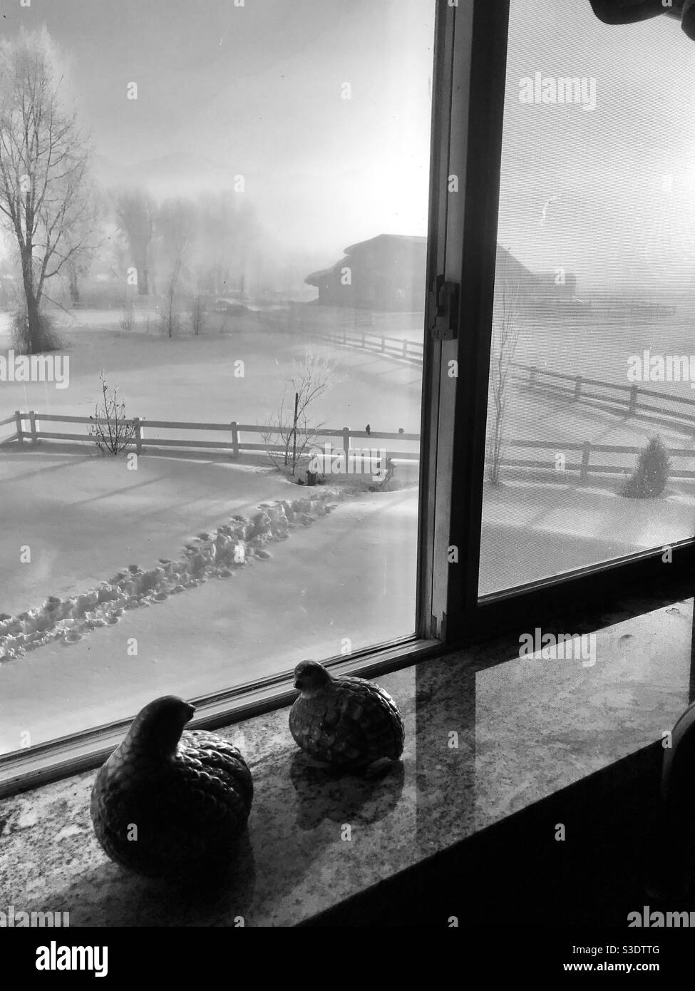 Vue de la fenêtre depuis la maison en rondins du Wyoming et un paysage d'hiver Banque D'Images