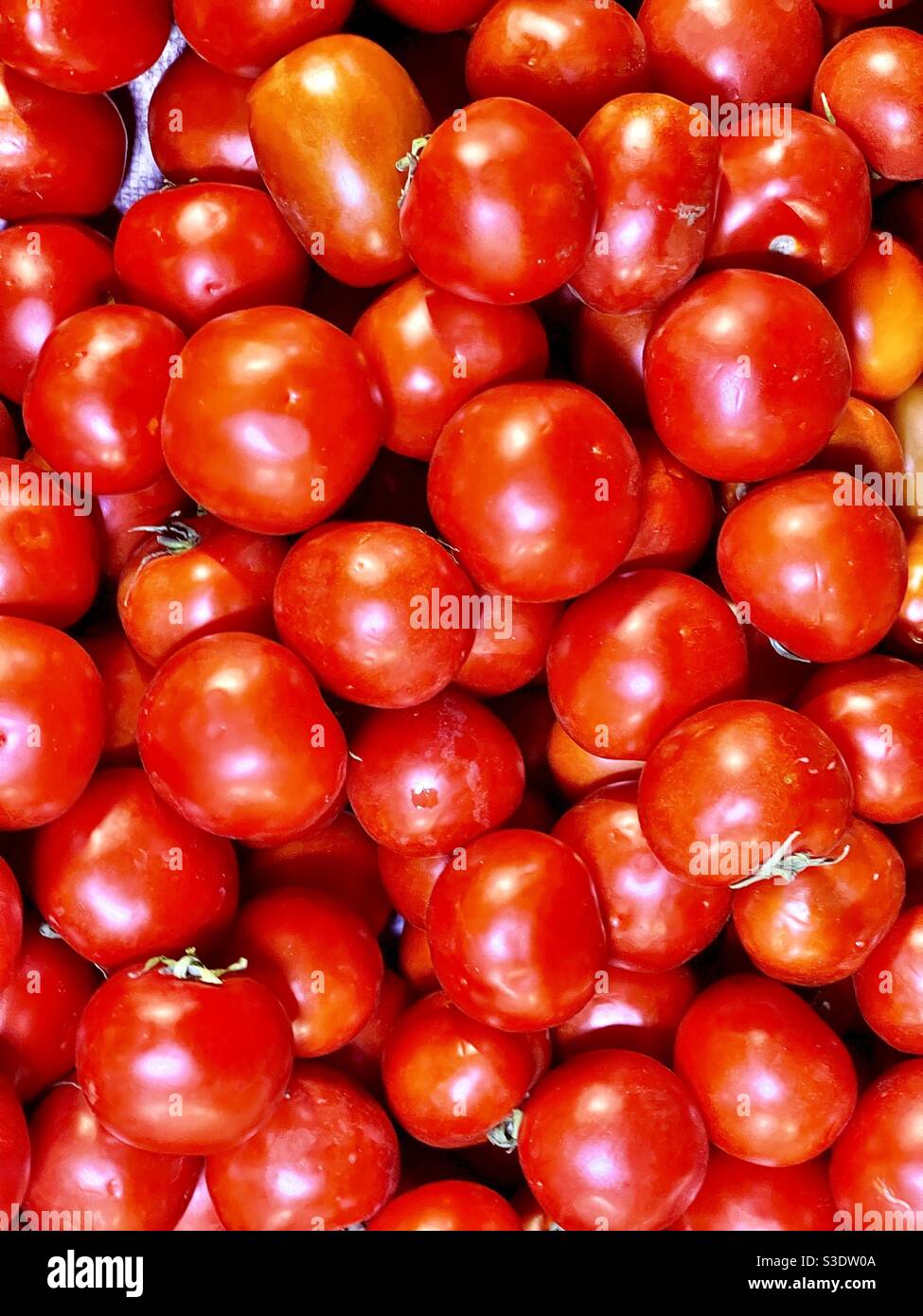 Tomates rouges Banque D'Images