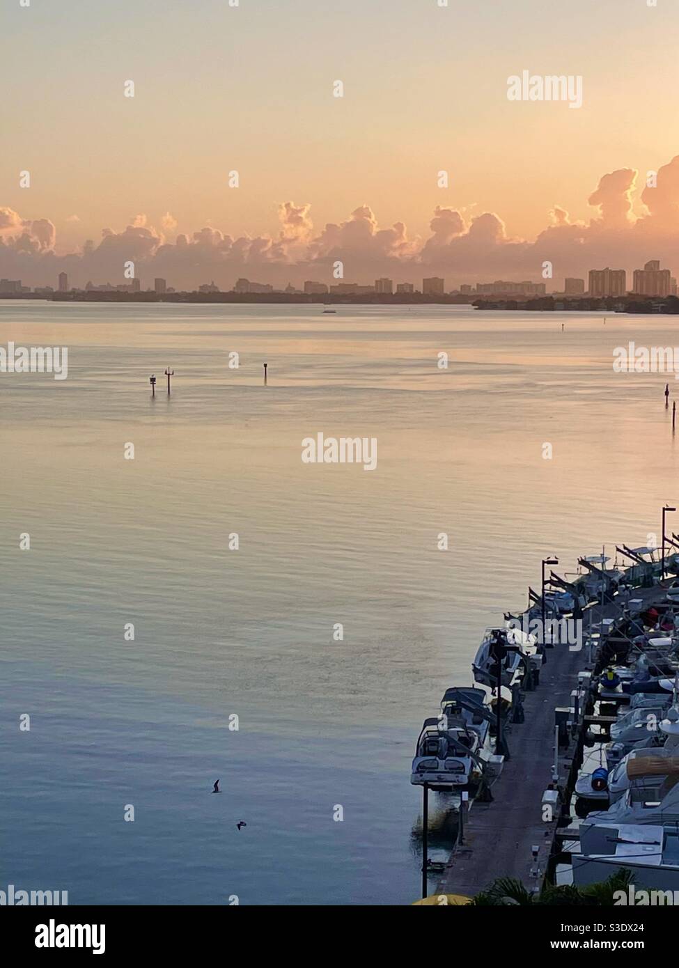 Lever de soleil rose doré avec nuages à l'horizon au-dessus des eaux de l'océan fixes avec des bateaux garés en premier plan et des bâtiments en hauteur en arrière-plan à Miami Beach, Floride, États-Unis Banque D'Images