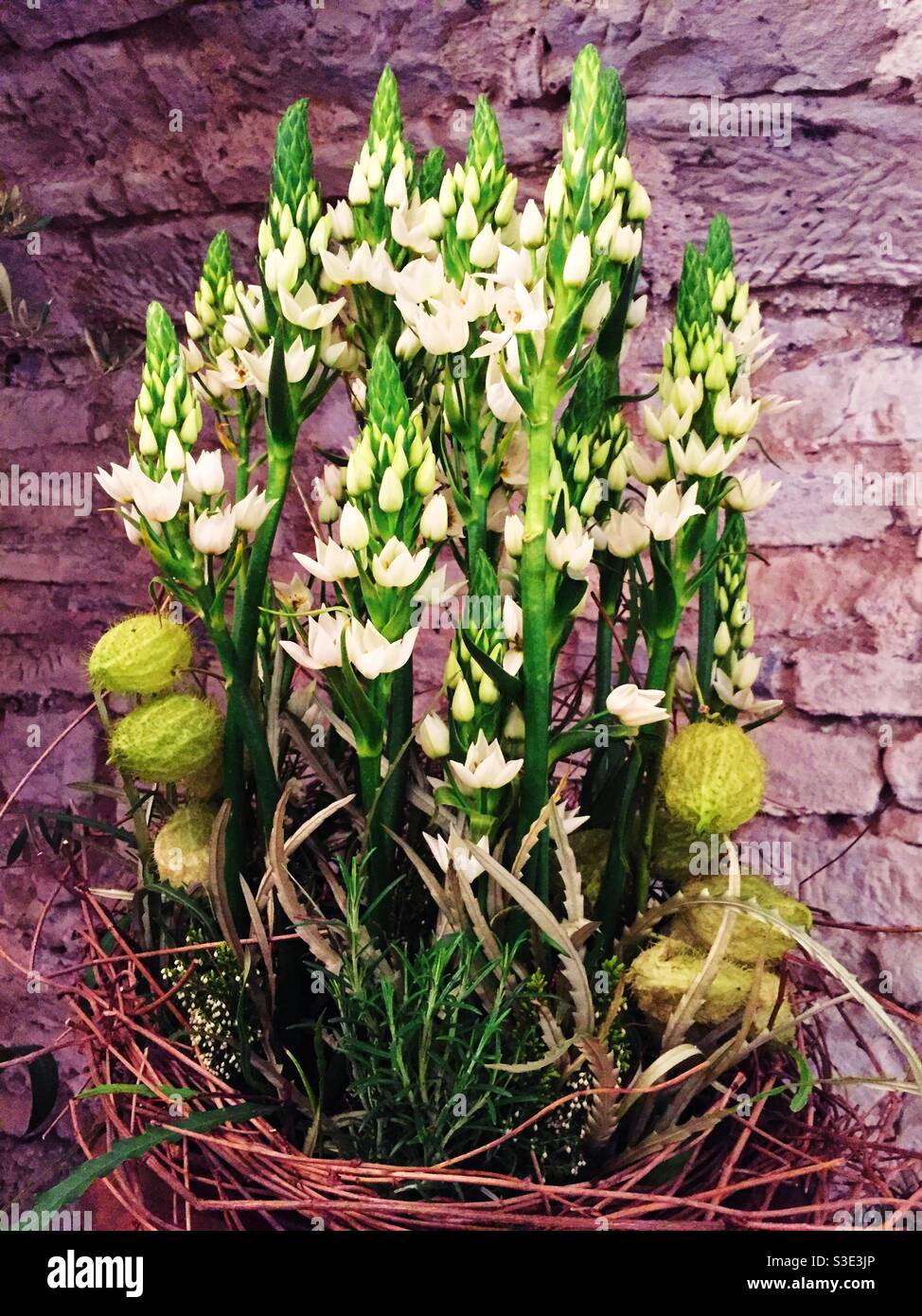 Belle décoration de fleurs blanches et vertes - Image de stock capturée avec un smartphone