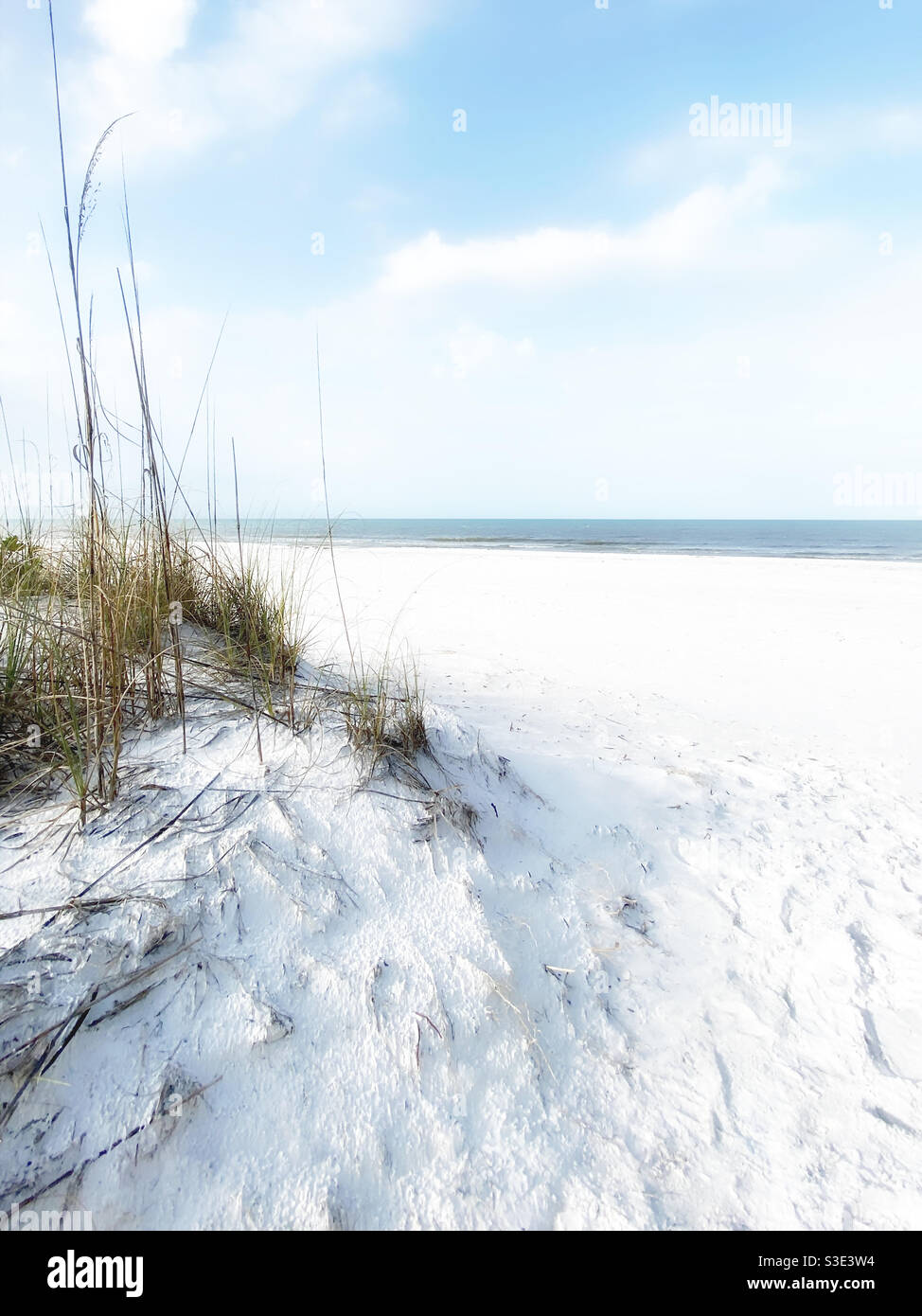 Entrée à la plage de sable avec herbes - Image de stock capturée avec un smartphone