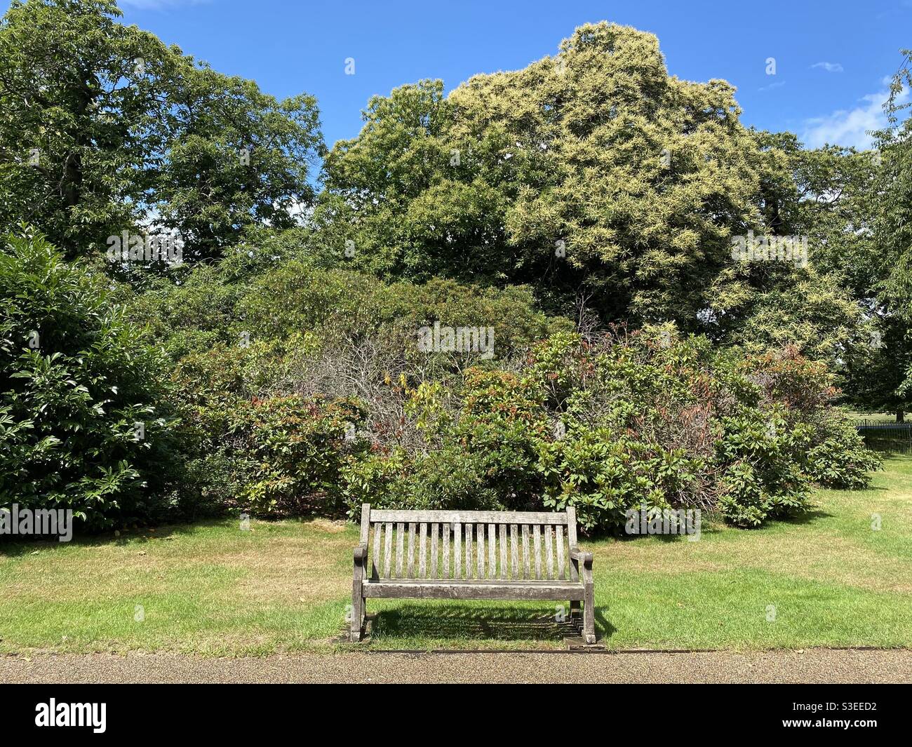 Un banc de parc dans le cadre tranquille de Greenwich Park. Banque D'Images