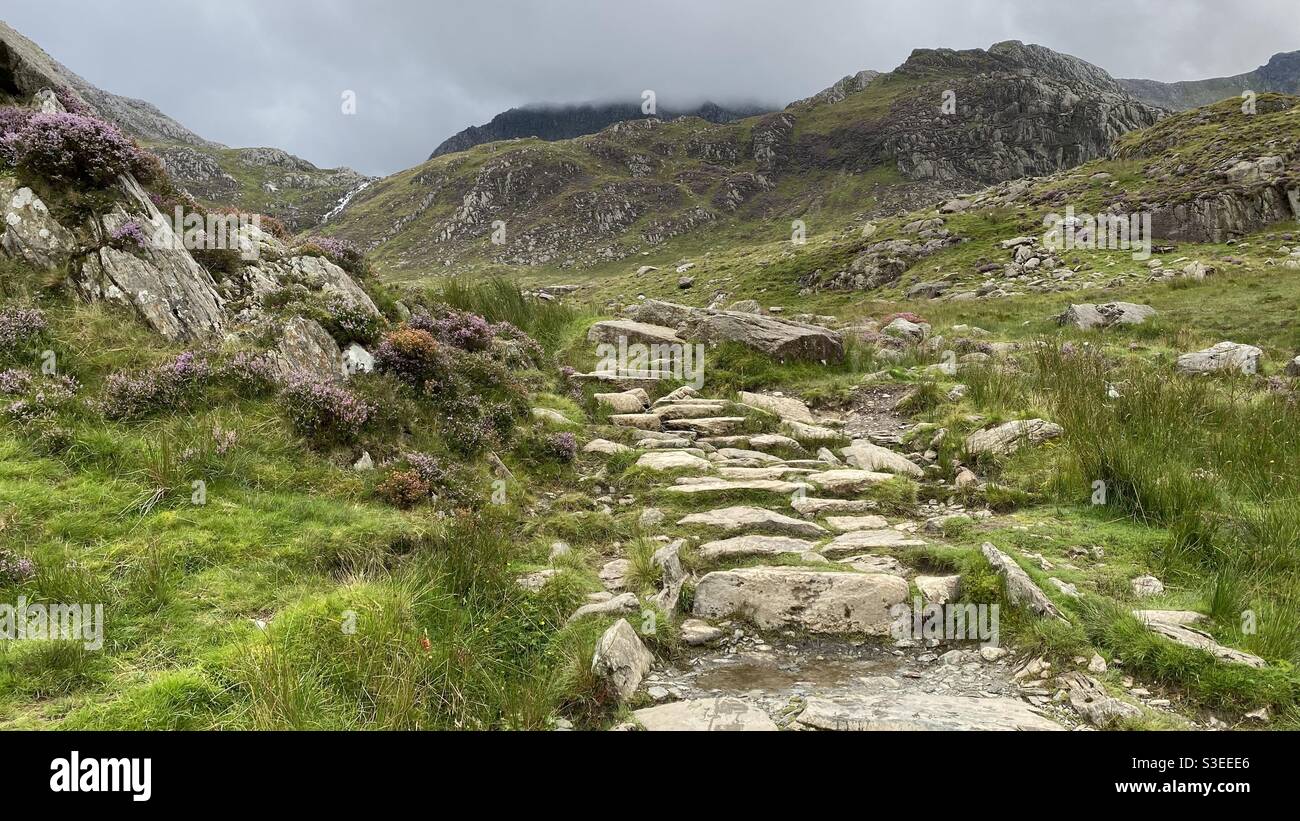 Chemin en pierre à travers le parc national Magestic Snowdonia, pays de Galles. Banque D'Images