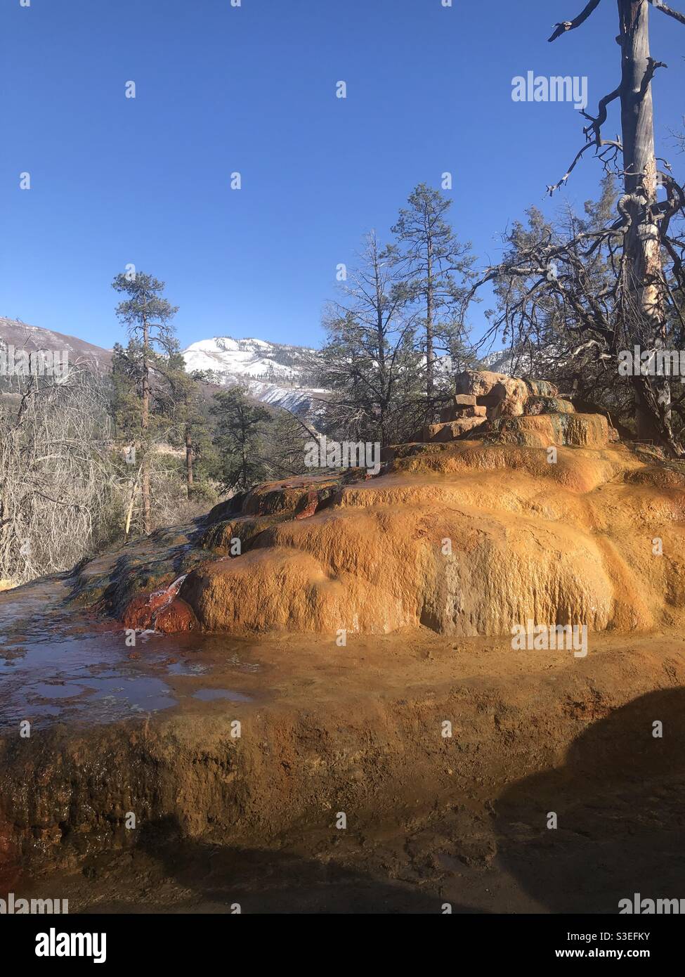 Hot Spring Water rock, Durango Colorado Banque D'Images