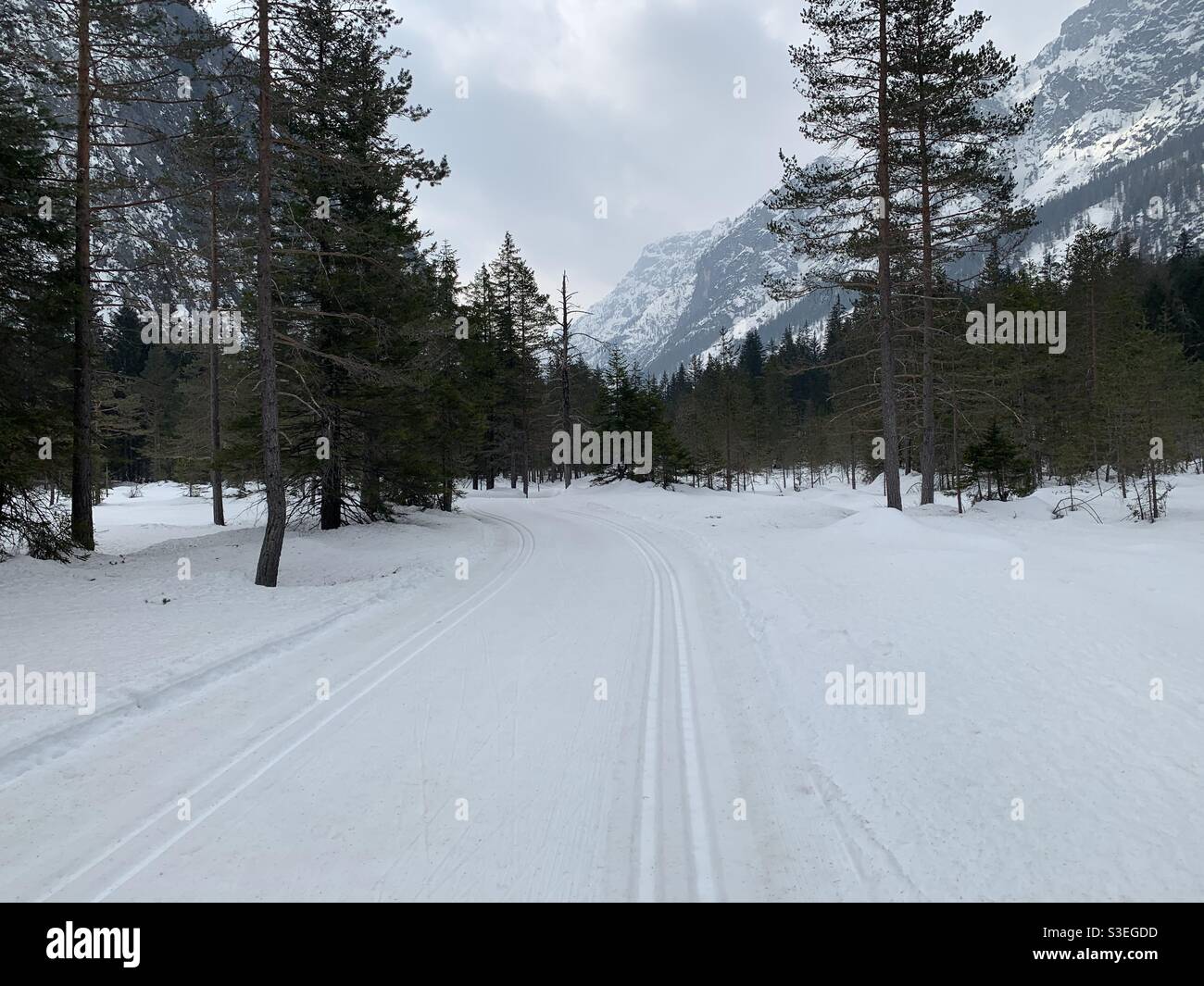 Piste de ski de fond dans les Dolomites, Italie. - Image de stock capturée avec un smartphone