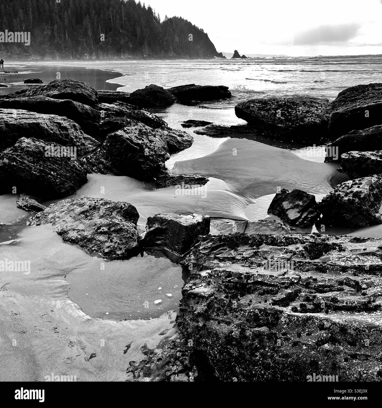 Cape Falcone Park sur la côte de l'Oregon - Image de stock capturée avec un smartphone