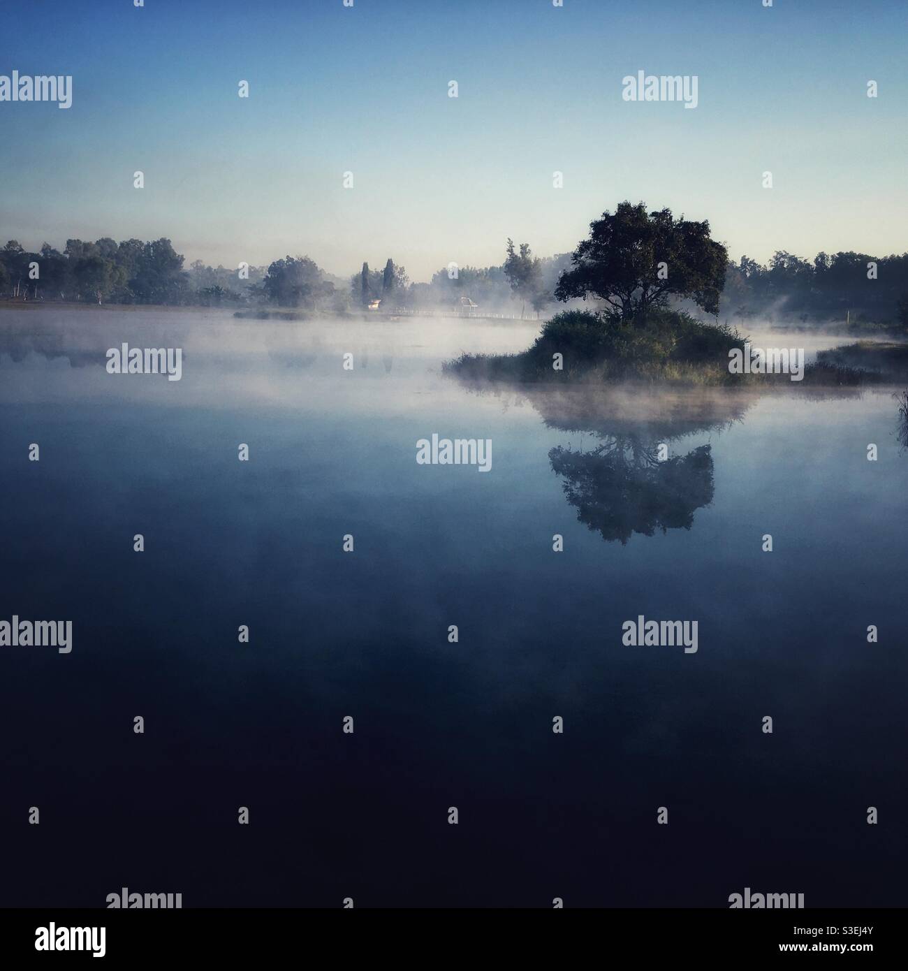 Île de Tiny Lake dans la brume matinale dans l'État de Kayah, Myanmar, Birmanie, Asie. Banque D'Images