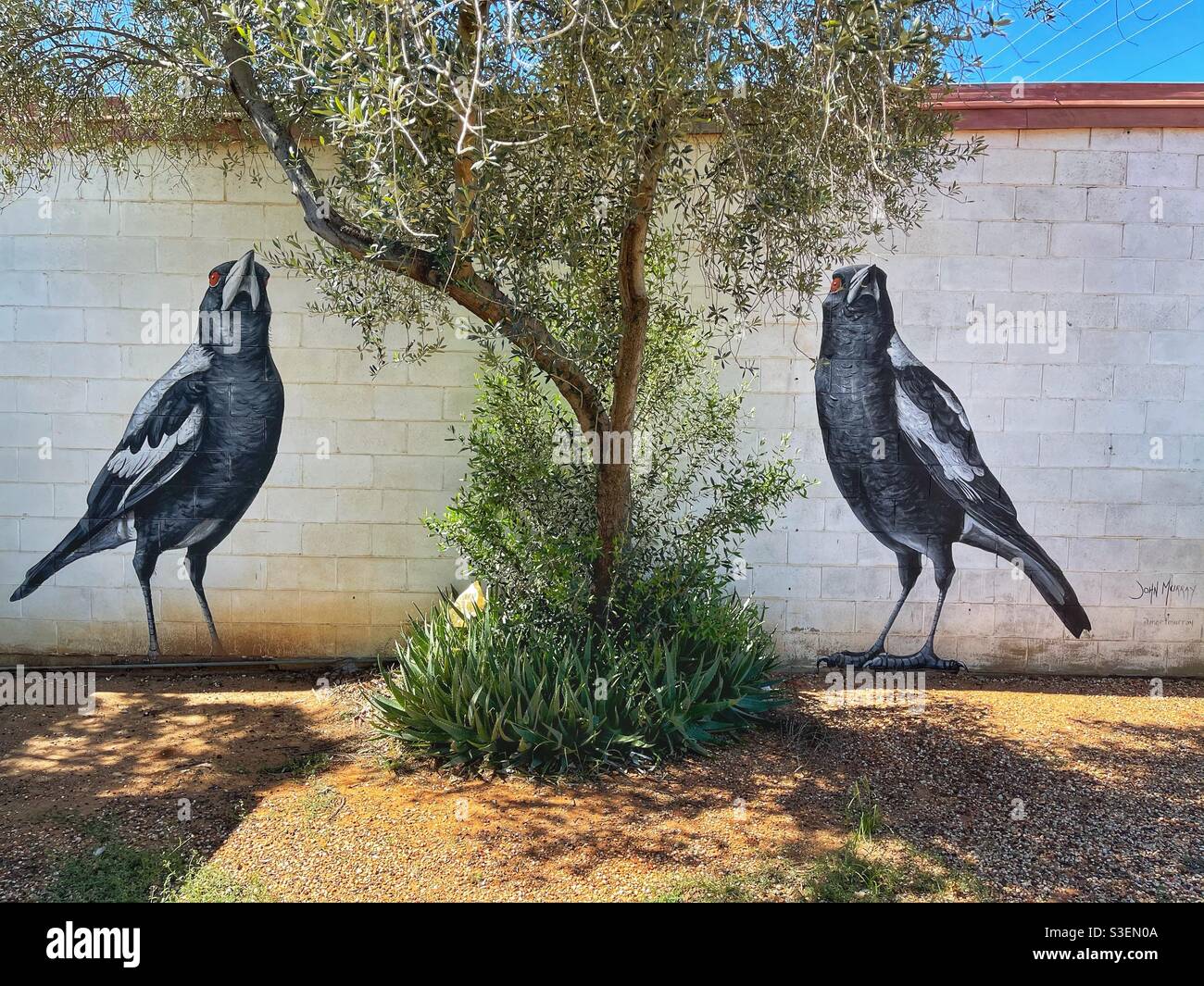 Street art oiseaux noirs et blancs sur un mur de briques blanches avec un arbre entre, Lightning Ridge, Nouvelle-Galles du Sud, Australie Banque D'Images