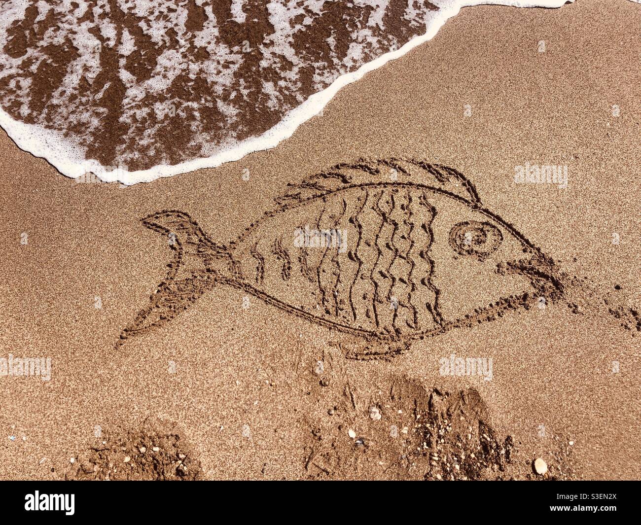 Forme de poisson dessinée sur une plage de sable Banque D'Images