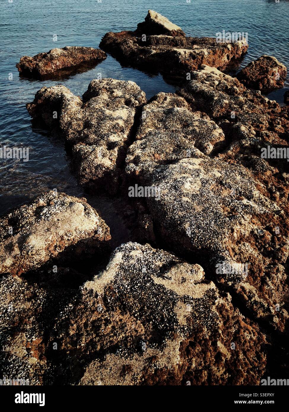 Rochers qui sont couverts de minuscules moules par la mer Banque D'Images