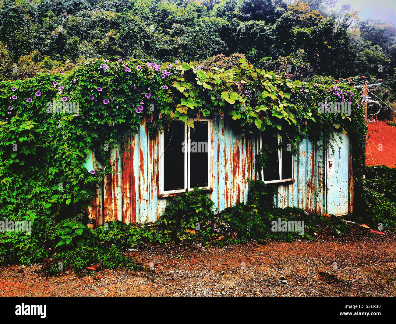 Contenant en métal rouillé transformé en une petite maison avec des fenêtres convoitées avec des plantes et des feuilles. Il se trouve sur le sol d'une ferme ou d'un champ Banque D'Images