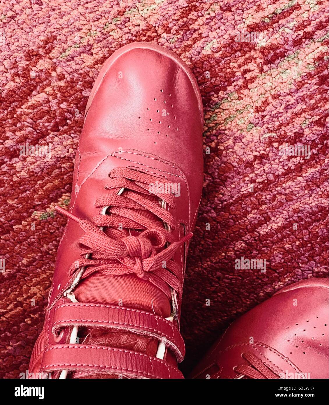 Hi top Hot Pink chaussures de sport Reebok sur un tapis rose de couleur similaire, USA - Image de stock capturée avec un smartphone