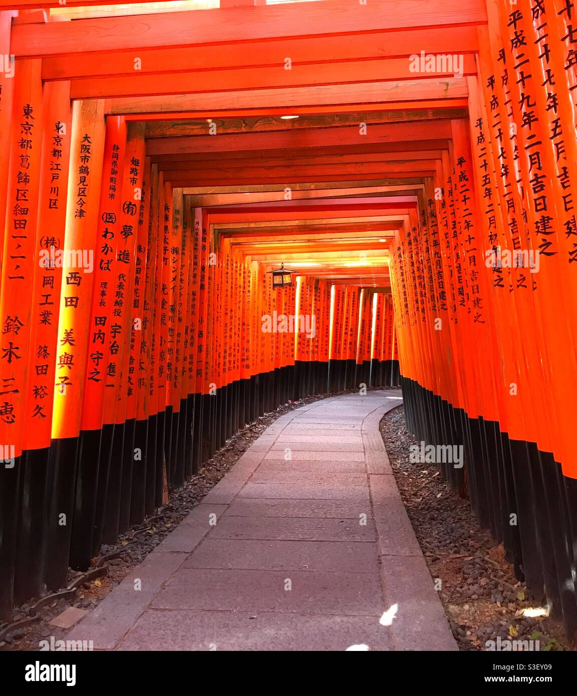 Tori Gates, Kyoto, Japon. Banque D'Images