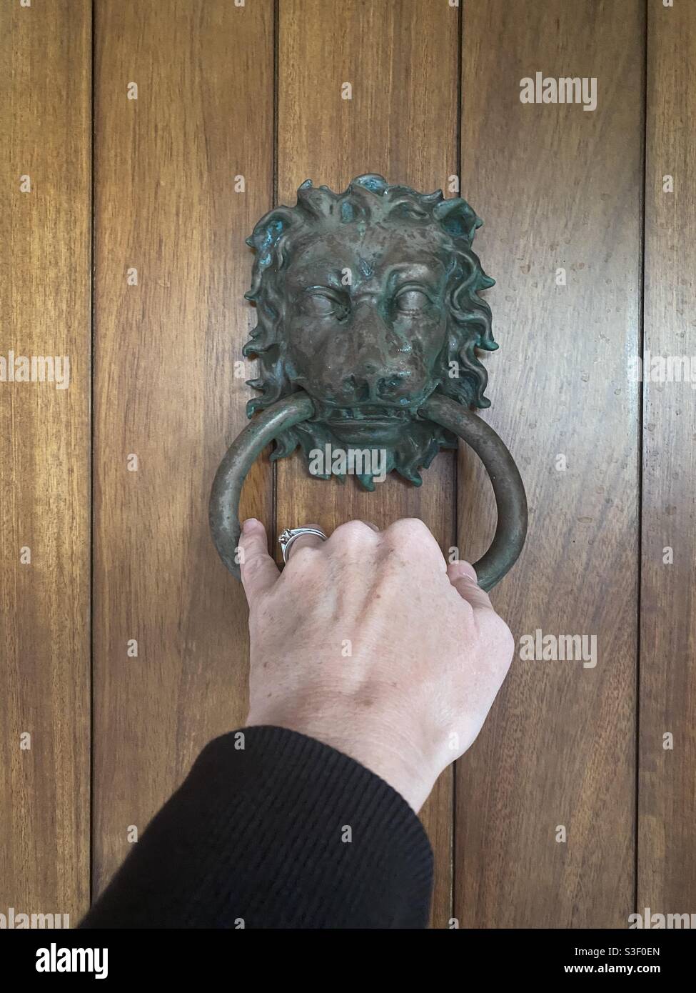 Main femelle tenant l'anneau métallique d'une tête de lions défonceuse de porte Banque D'Images