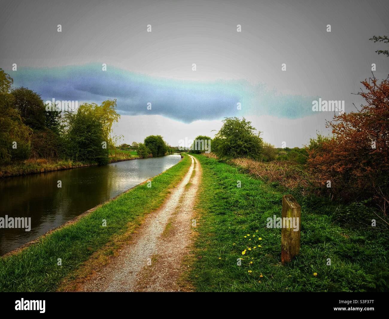 Canal Trent et Mersey près de Sandbach Cheshire UK Banque D'Images