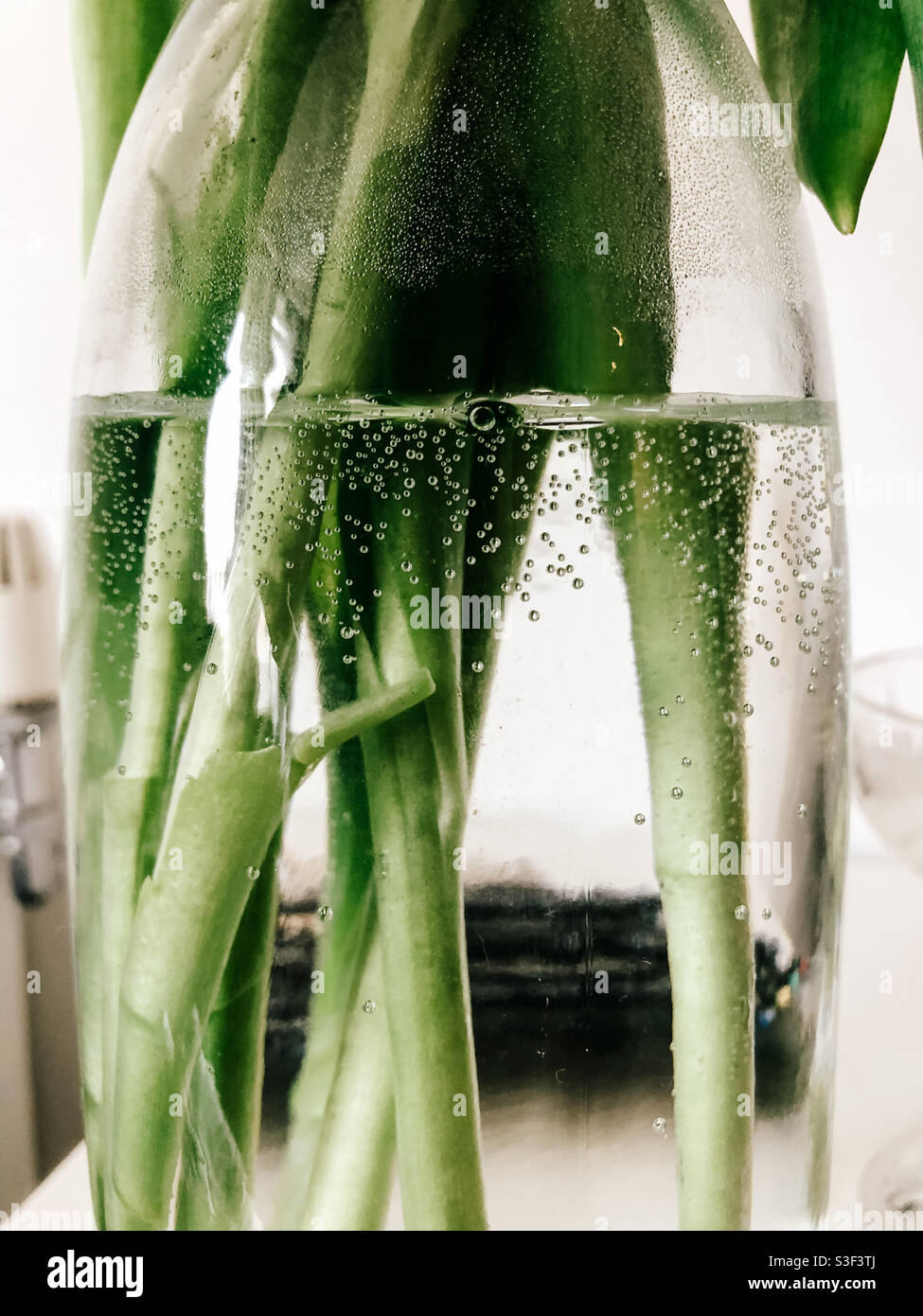 Fond des tiges de fleurs dans un vase d'eau. - Image de stock capturée avec un smartphone