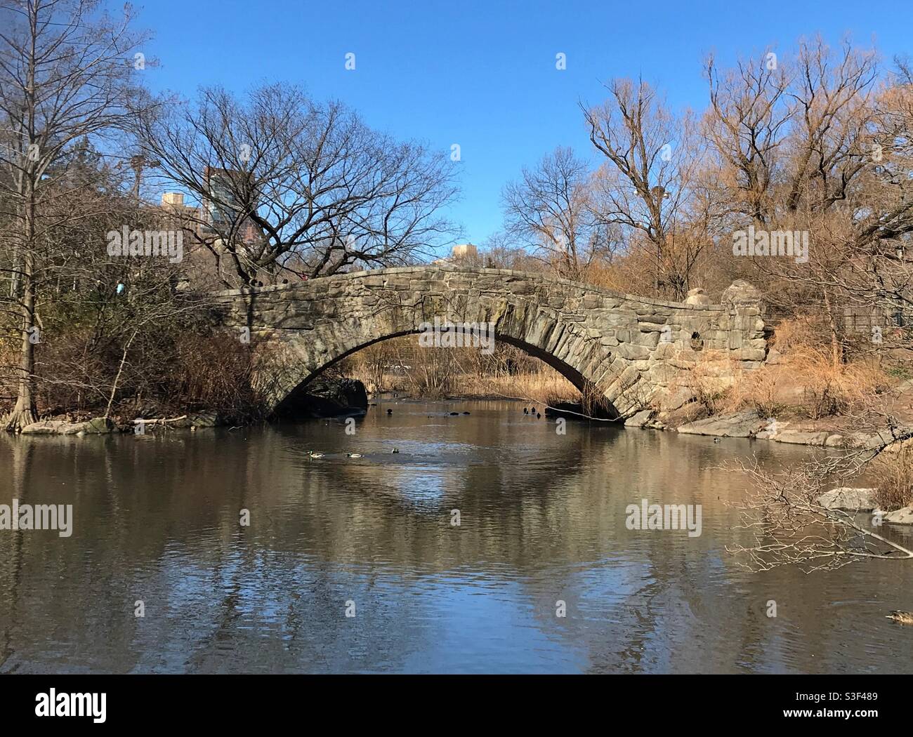 Le célèbre pont Gapstow à Central Park, New York. Banque D'Images