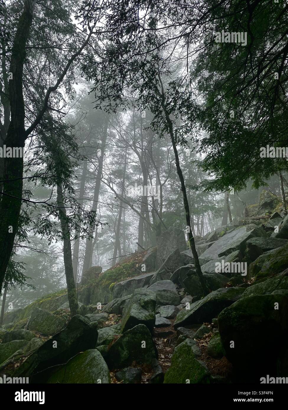 Brume printanière sur Hackensack Mountain, dans la chaîne de montagnes Adirondack Mountain Range Banque D'Images