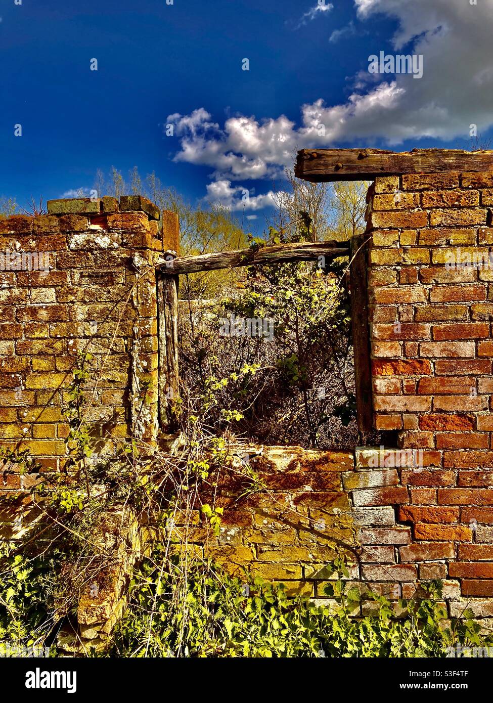 La ruine des bâtiments à Sussex Banque D'Images