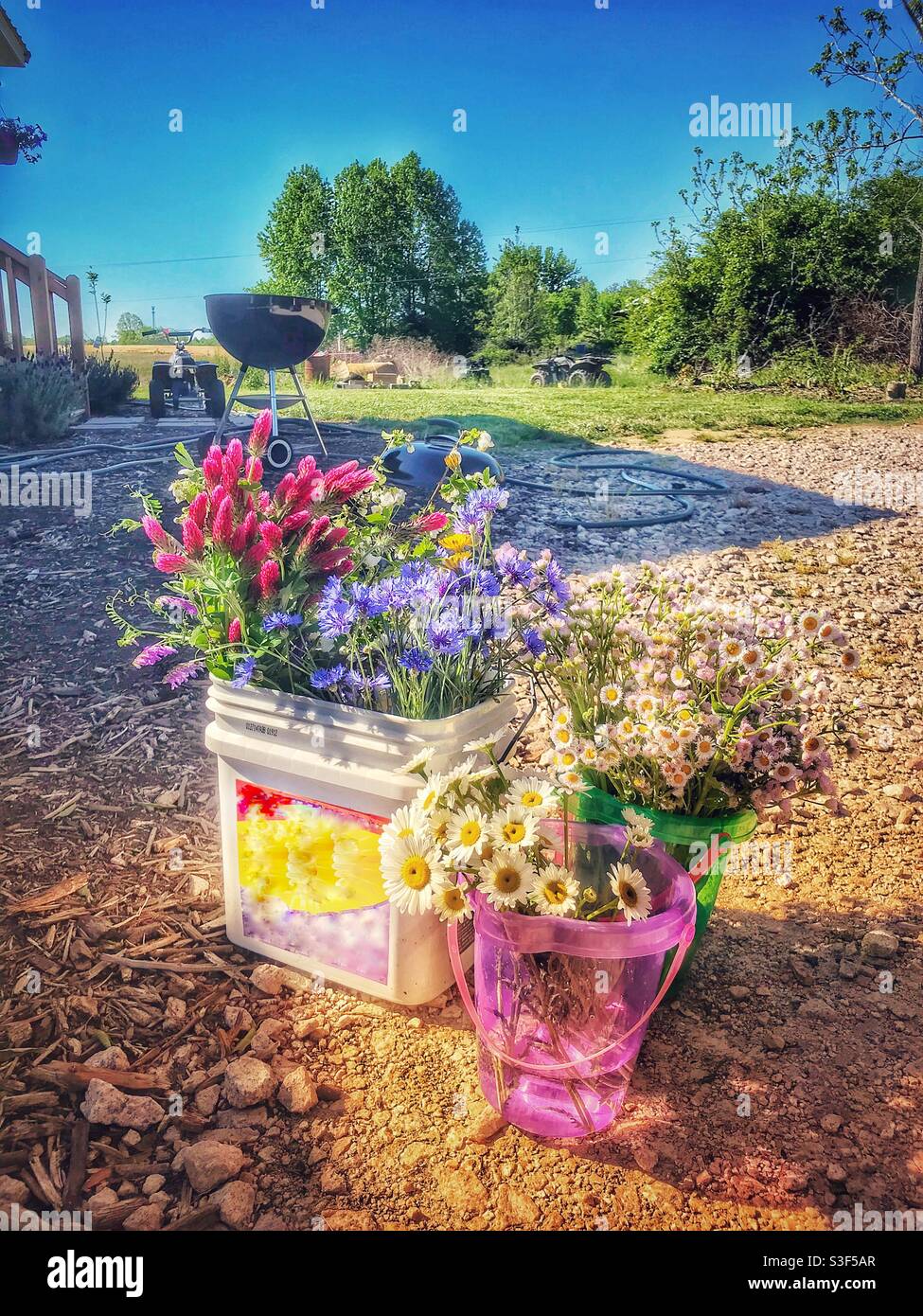 Fleurs sauvages fraîchement coupées dans des seaux, prêts à être disposés pour une douche de bébé Banque D'Images