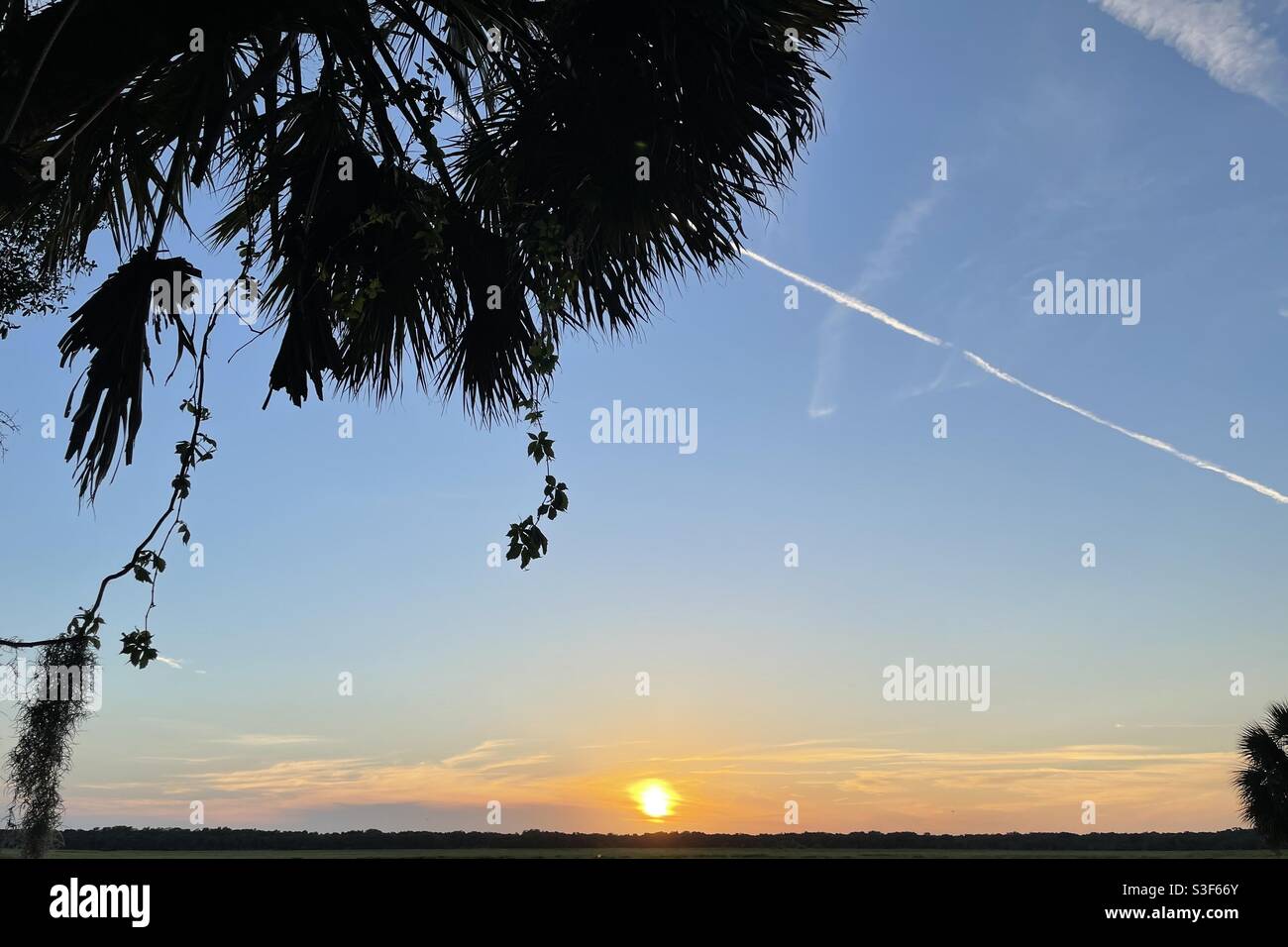 Coucher de soleil au parc national de la rivière Myakka, Sarasota - Image de stock capturée avec un smartphone