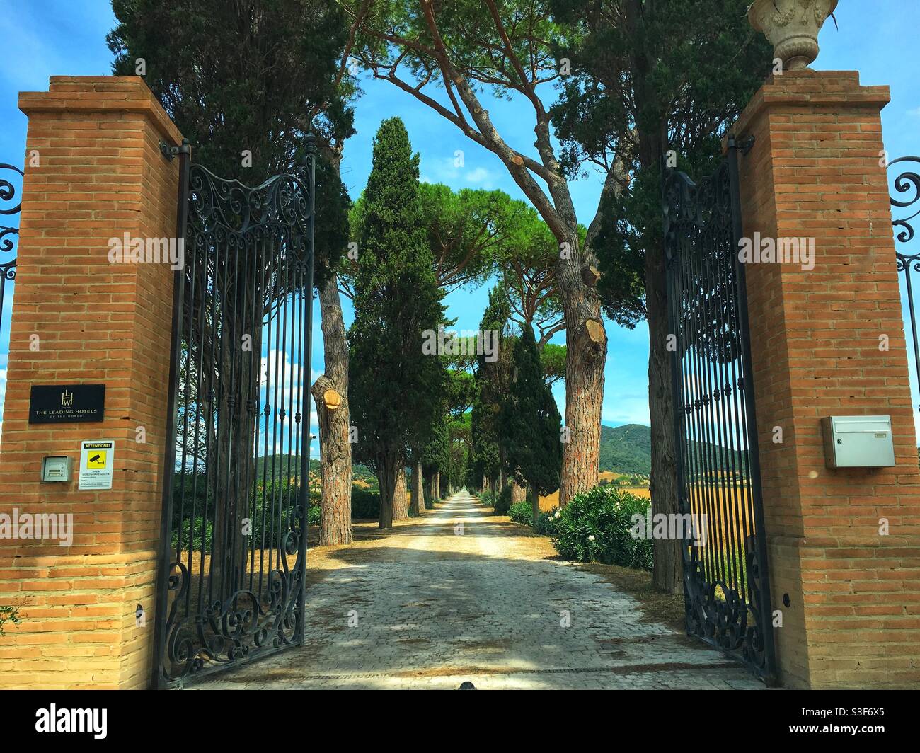 Les portes d'entrée de l'hôtel l'Andana pour la route à tréelines - Castiglione Della pescaia- Toscane- Italie Banque D'Images