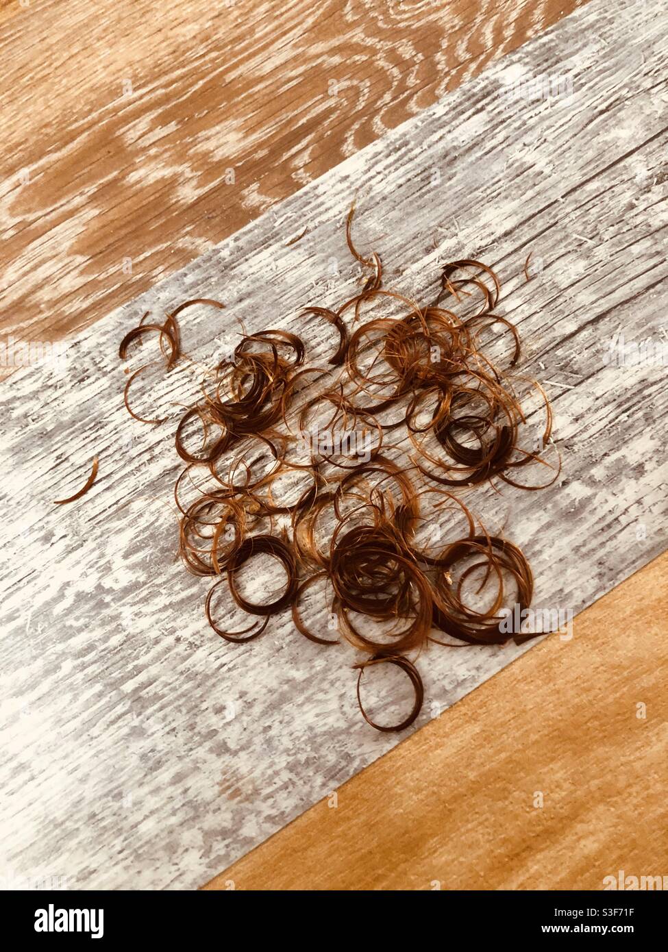Cheveux bouclés au gingembre sur le sol après la coupe des cheveux Banque D'Images