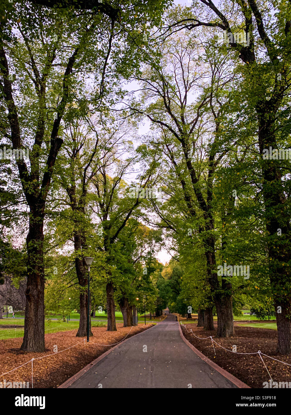 Fitzroy Gardens à East Melbourne, Victoria, Australie Banque D'Images