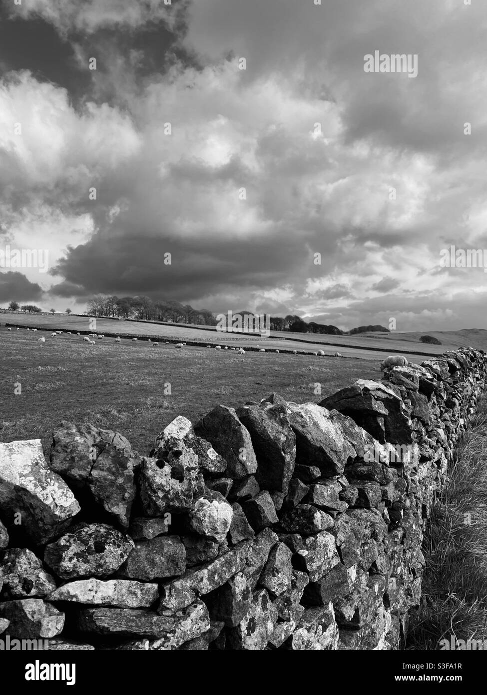 Le long du mur de pierre dans le district de Peak Derbyshire Banque D'Images