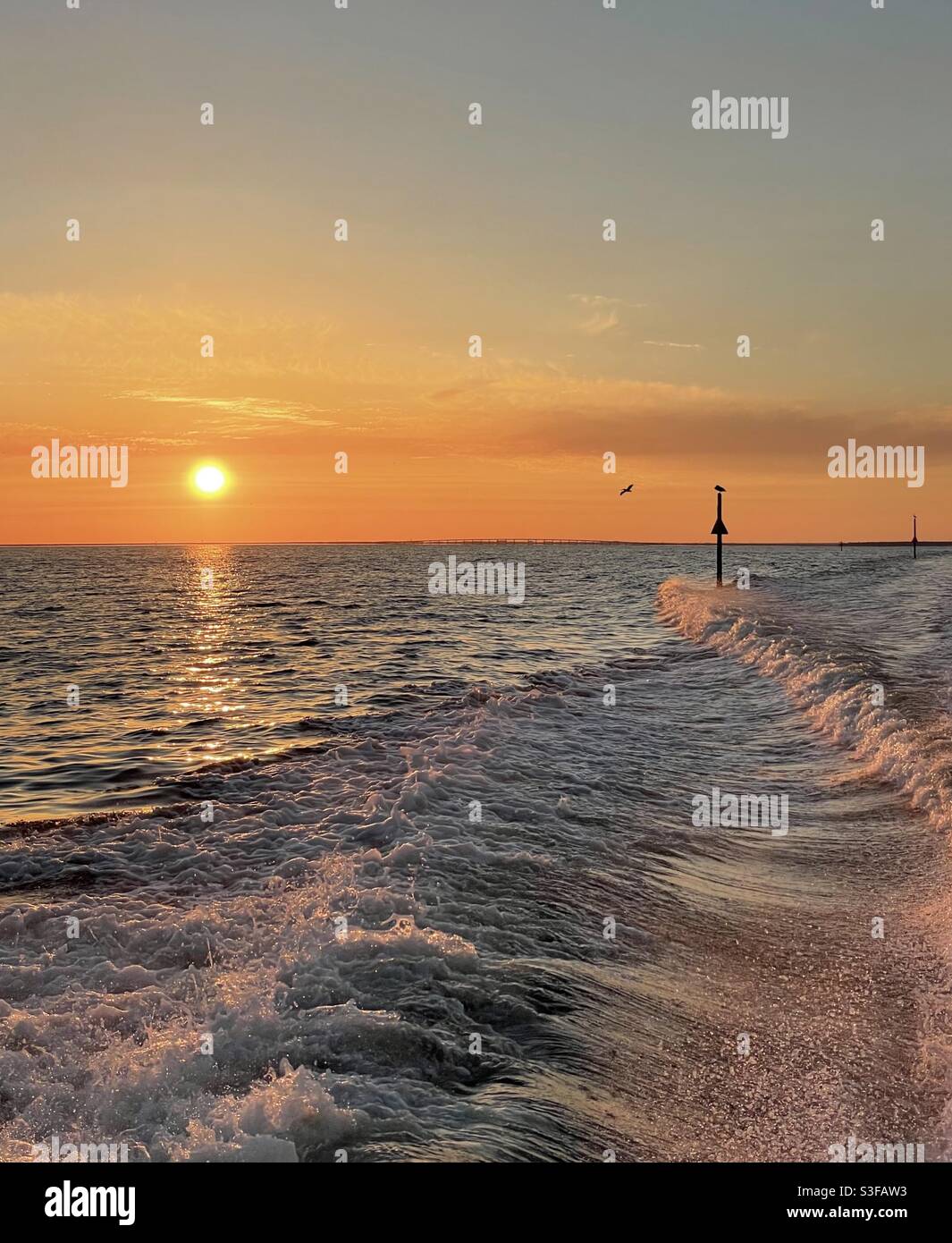 réveil en bateau avec un ciel doré au coucher du soleil sur le golfe de Mexique eau Floride Banque D'Images