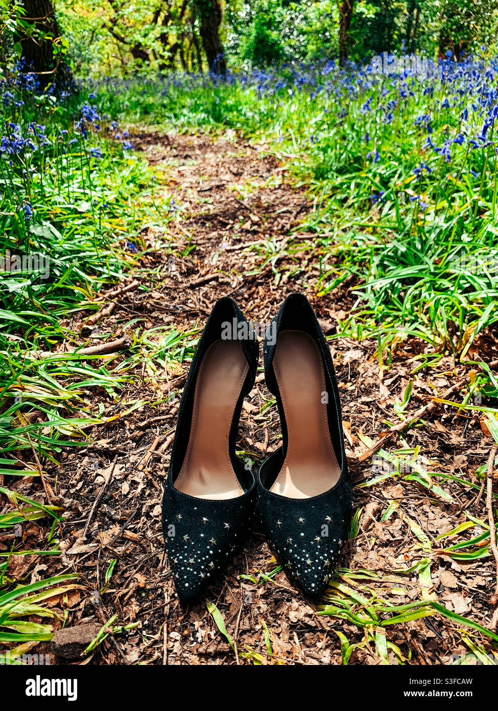 Talons aiguilles hauts noirs dans un bluebell Woods Banque D'Images