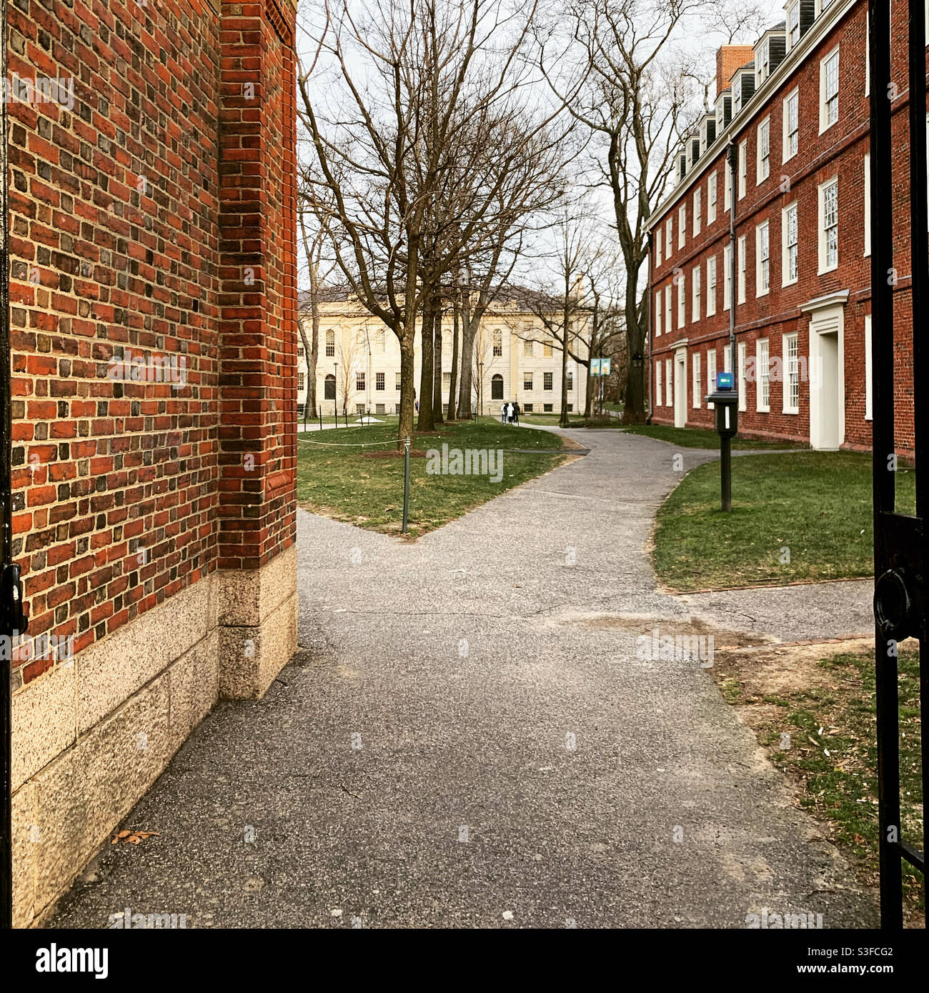 Chemins à travers le campus de l'Université Harvard, Cambridge, Massachusetts, États-Unis Banque D'Images