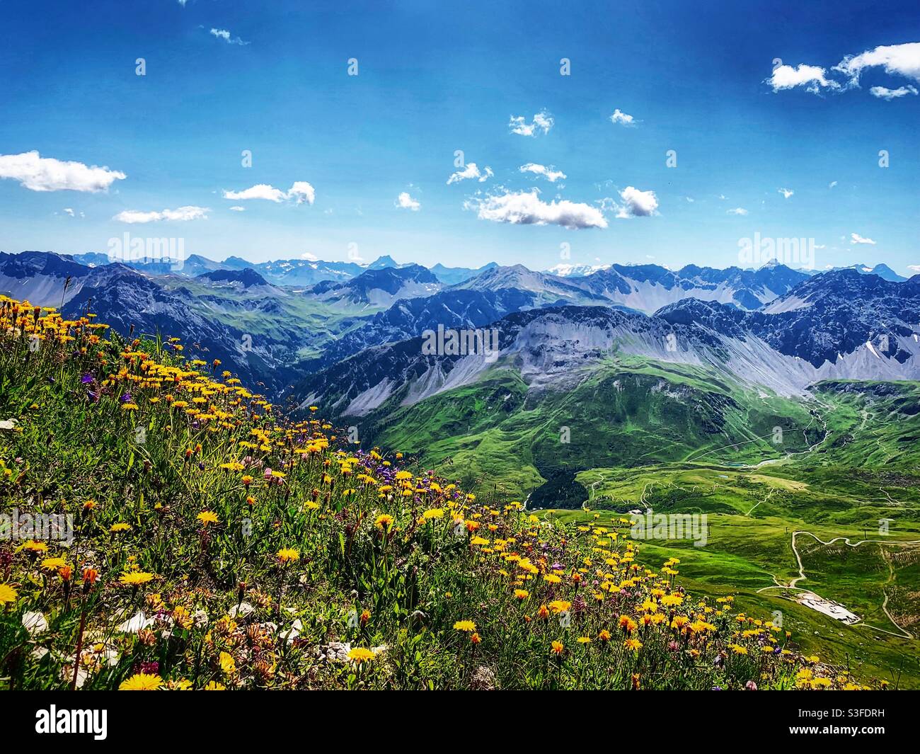 Une vallée magique de la tulipe de Suisse 🇨🇭❤️ Banque D'Images