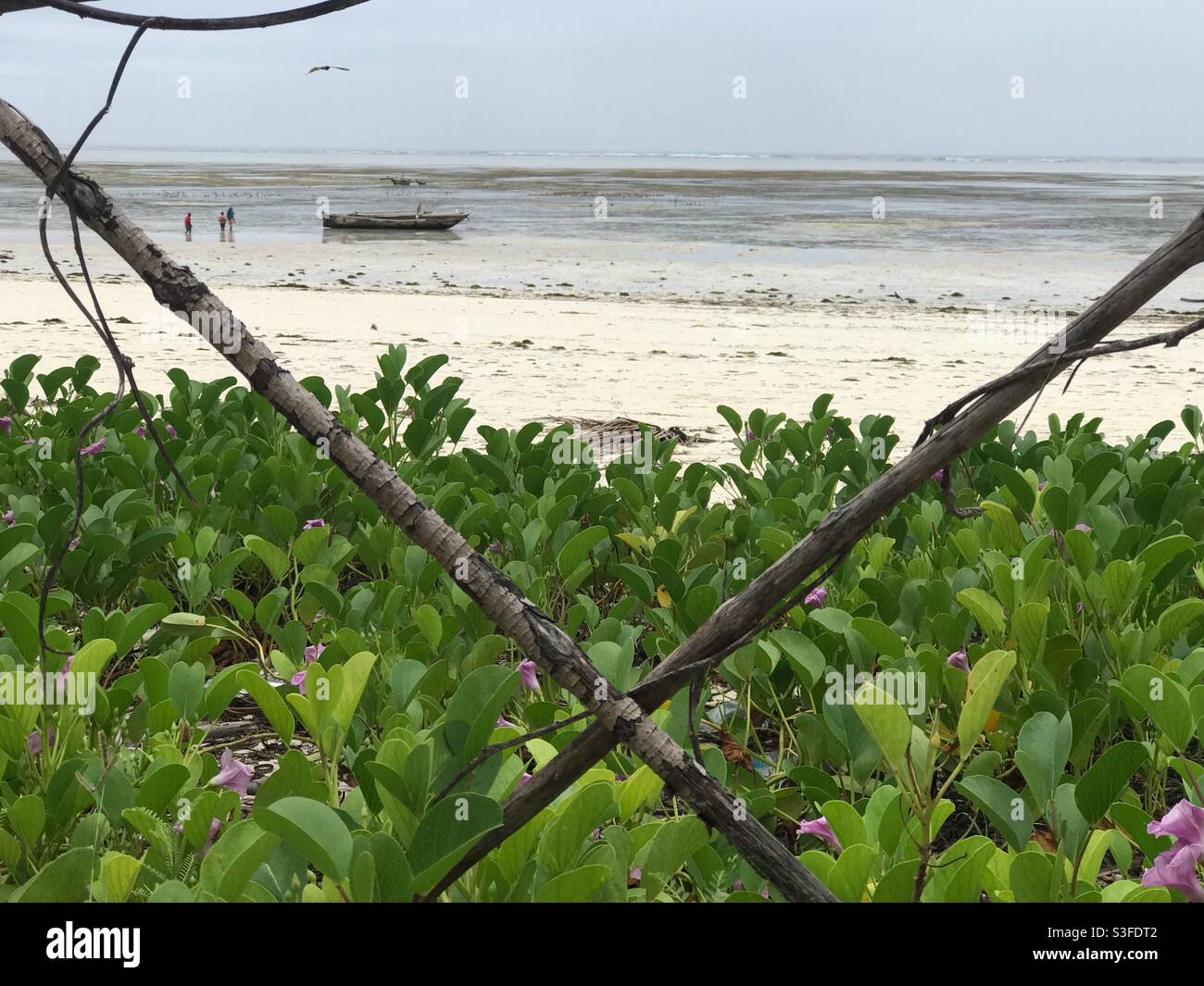 Bateau solitaire à la plage: Un bateau local amarré à la plage Banque D'Images