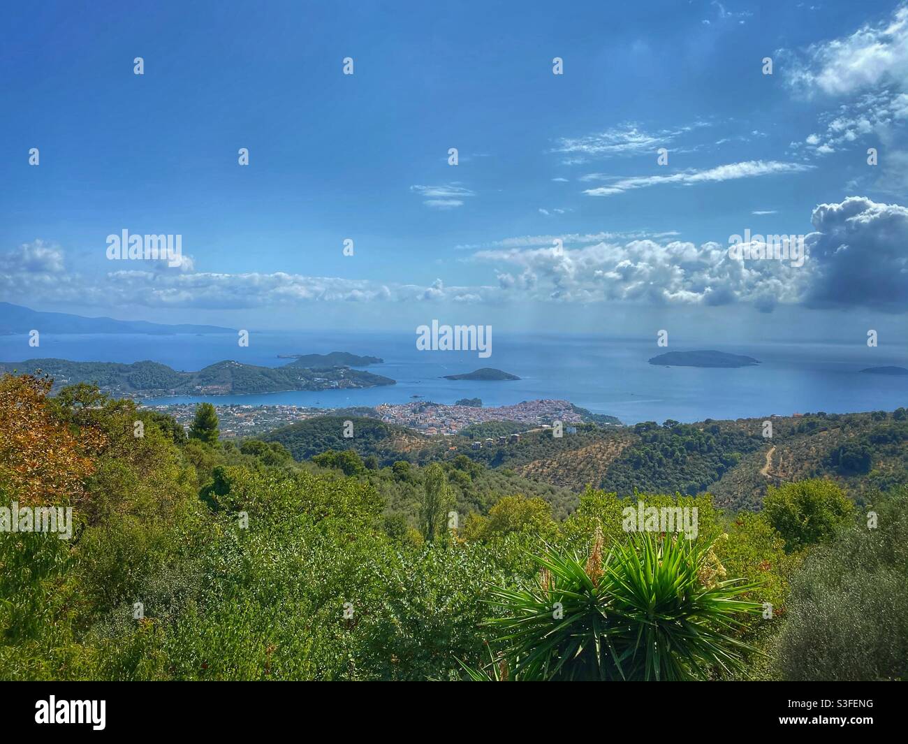 Vue sur le paysage de l'île de Skiathos et de la ville avec des plantes vertes en premier plan, Grèce. - Image de stock capturée avec un smartphone