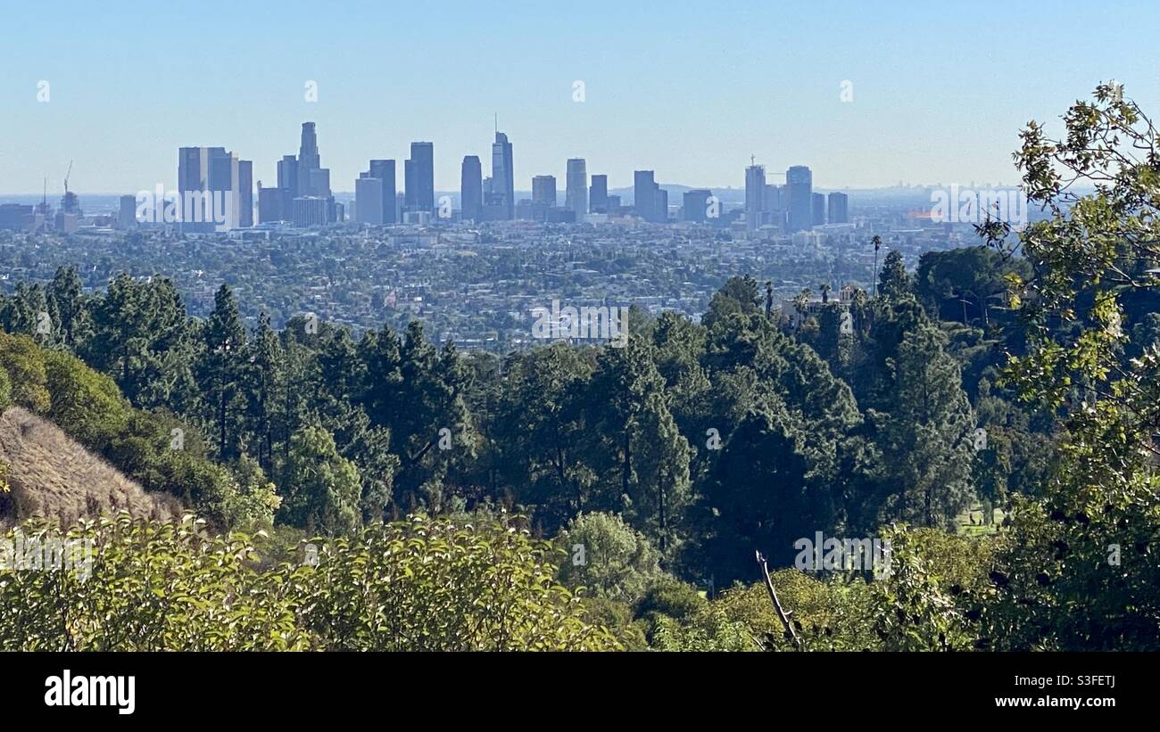 Vue sur le centre-ville DE LA depuis les sentiers de randonnée du parc Griffith Banque D'Images Vue sur le centre-ville DE LA depuis les sentiers de randonnée du parc Griffith Banque D'Images